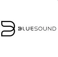 Bluesound.jpeg
