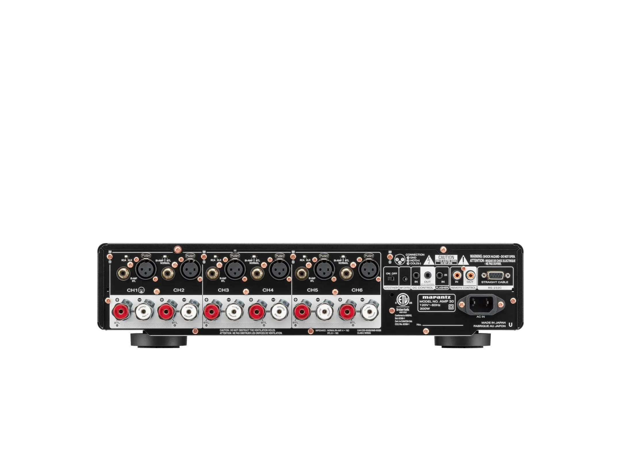 AMP 30 2.webp