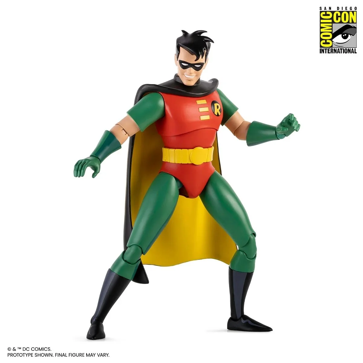 Robin 1.jpeg