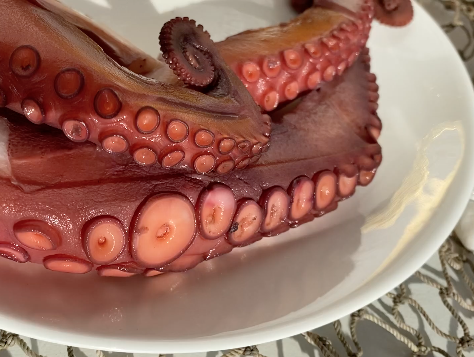 Octopus Meze / Ahtapot Mezesi
