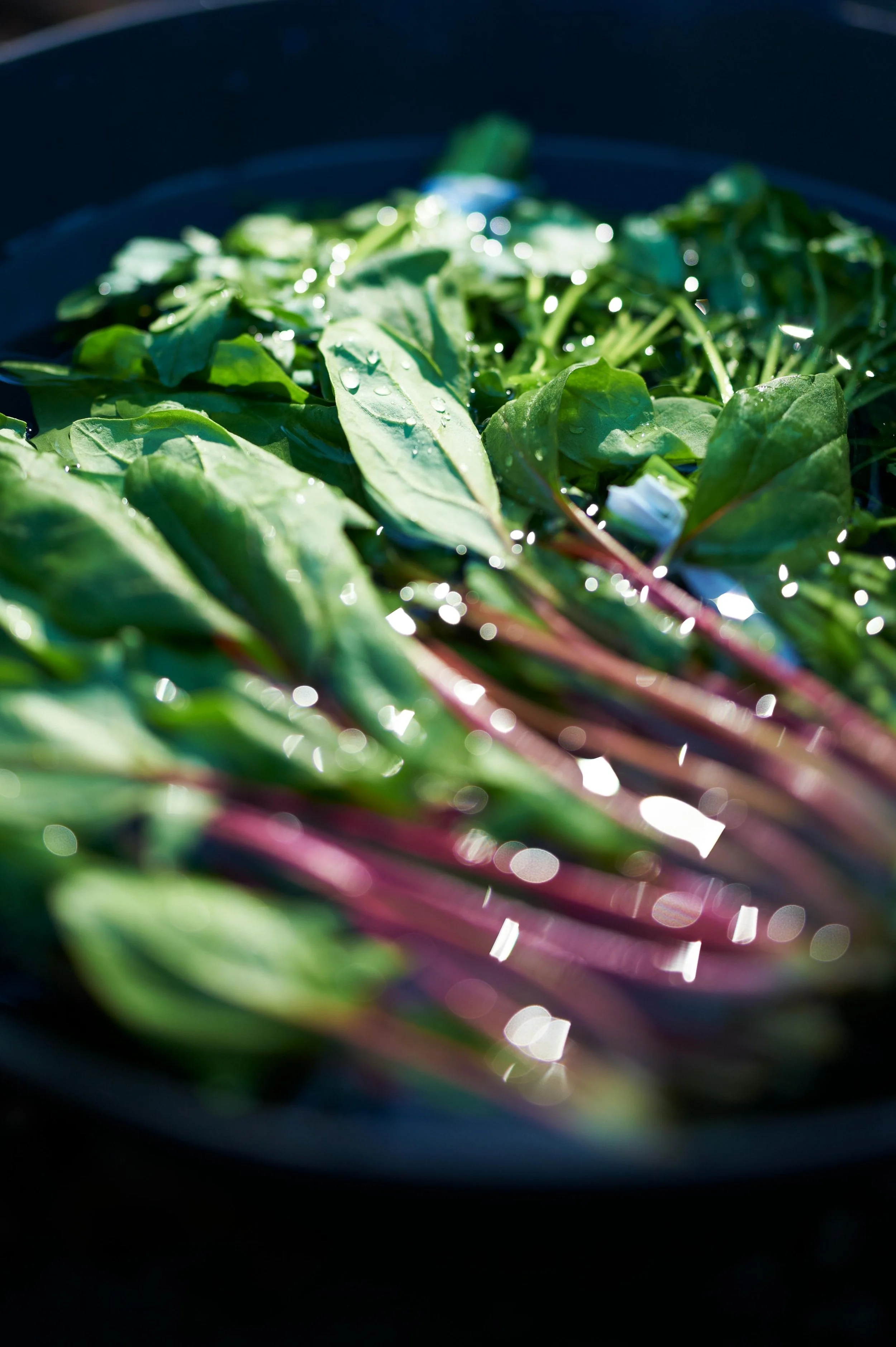 Cleaning Leafy Vegetables | Mediterranean Kitchen