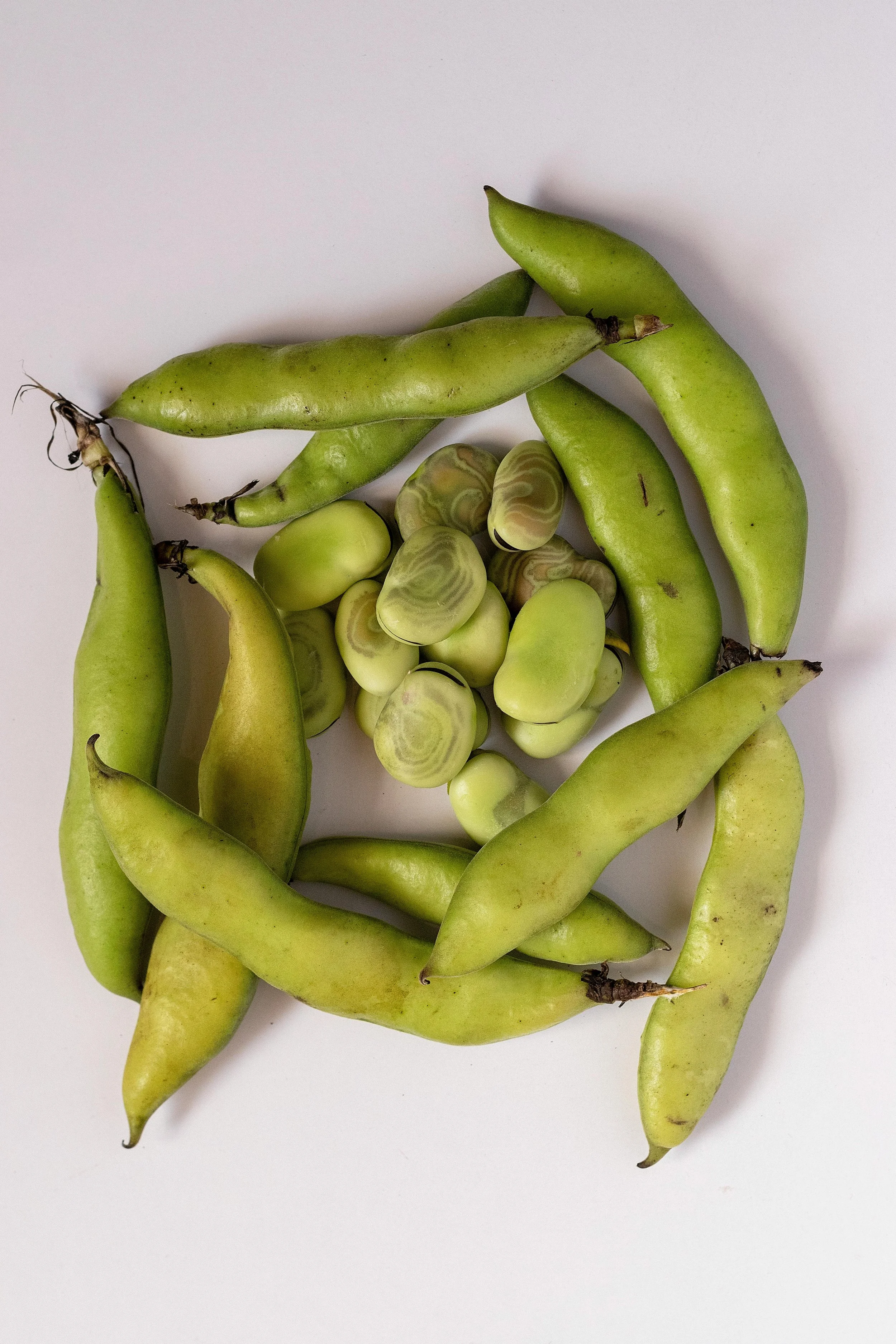 Spring Produce - fava broad beans