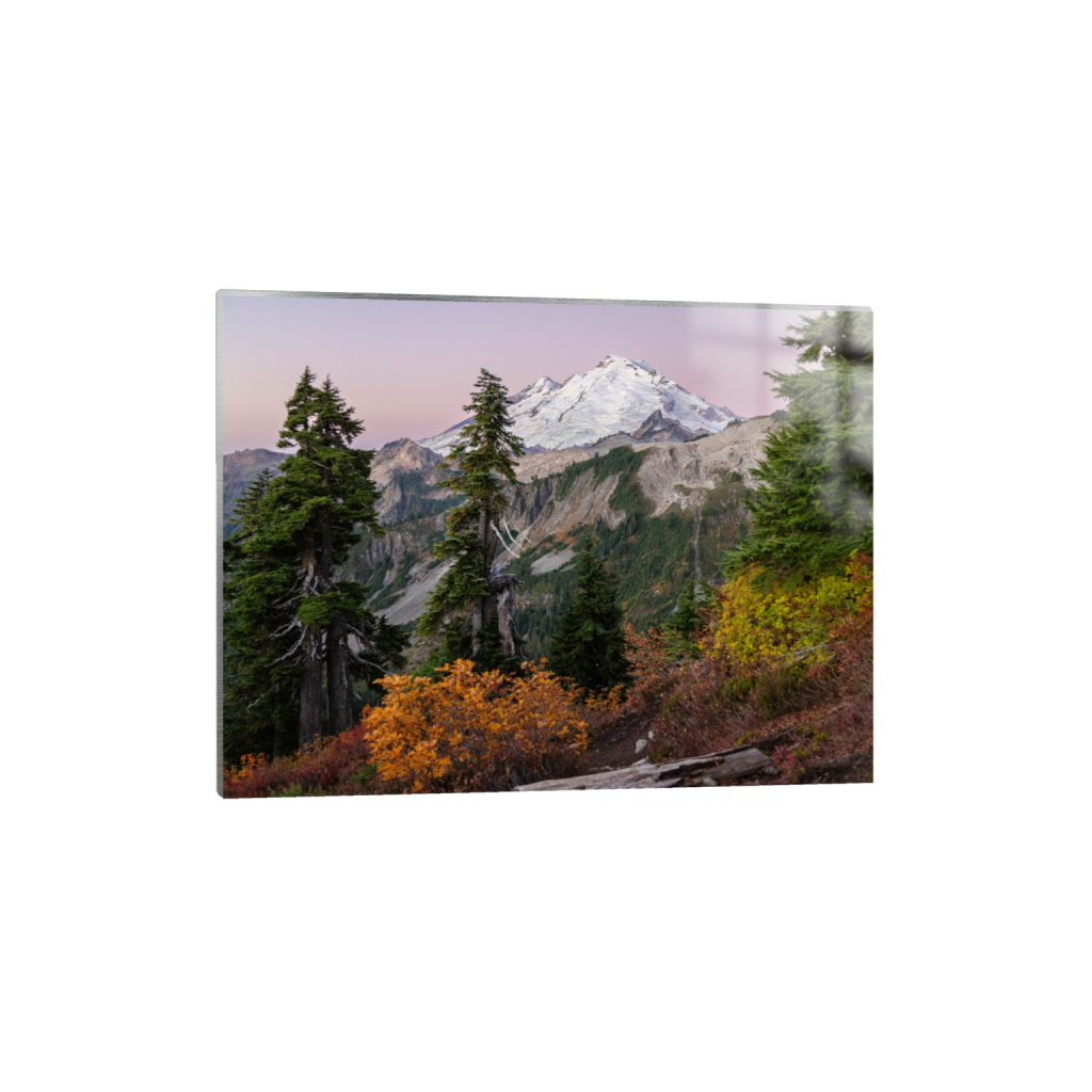 ptq_13_5_453_0_7285_5464_0_false_ffffff_0_0_.png