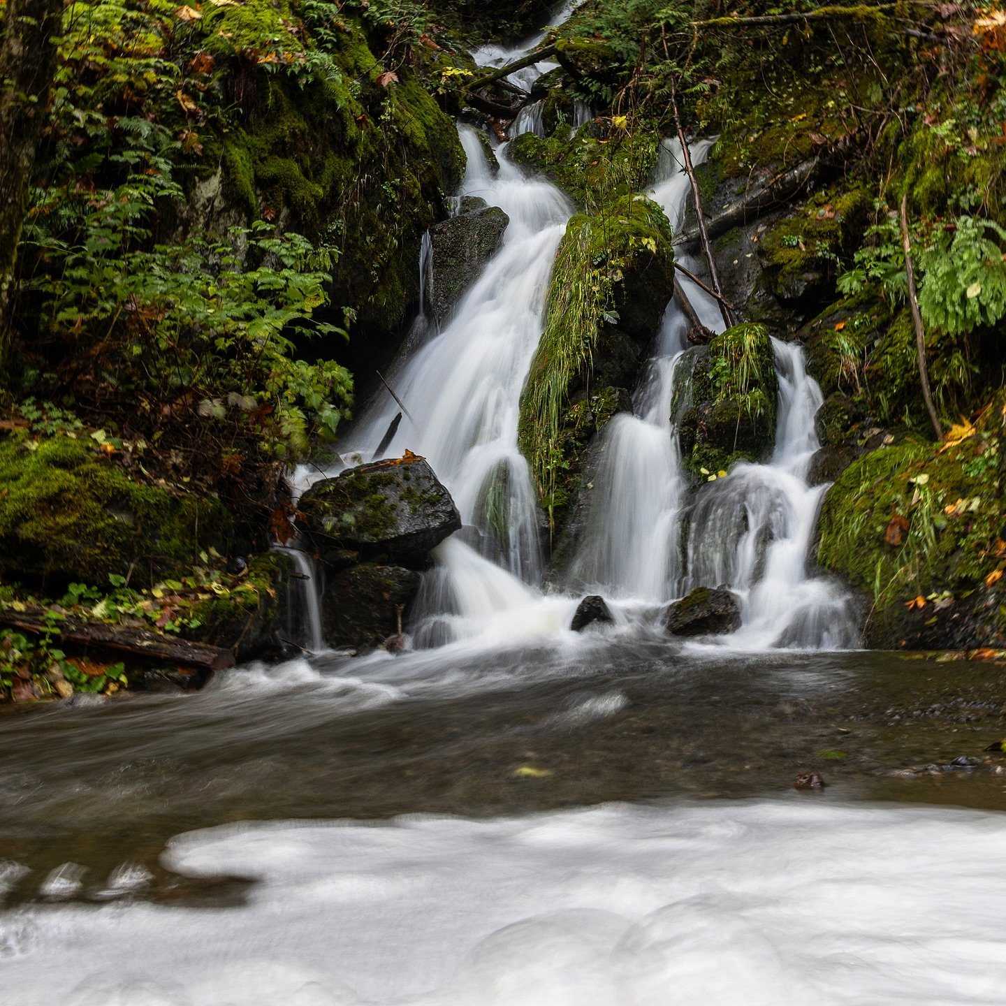 Streams are running high.