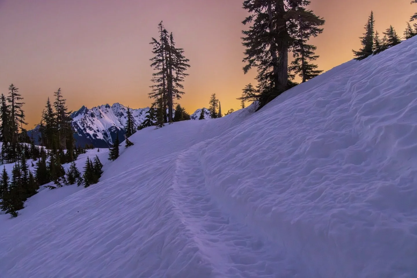 A new day, a new path.