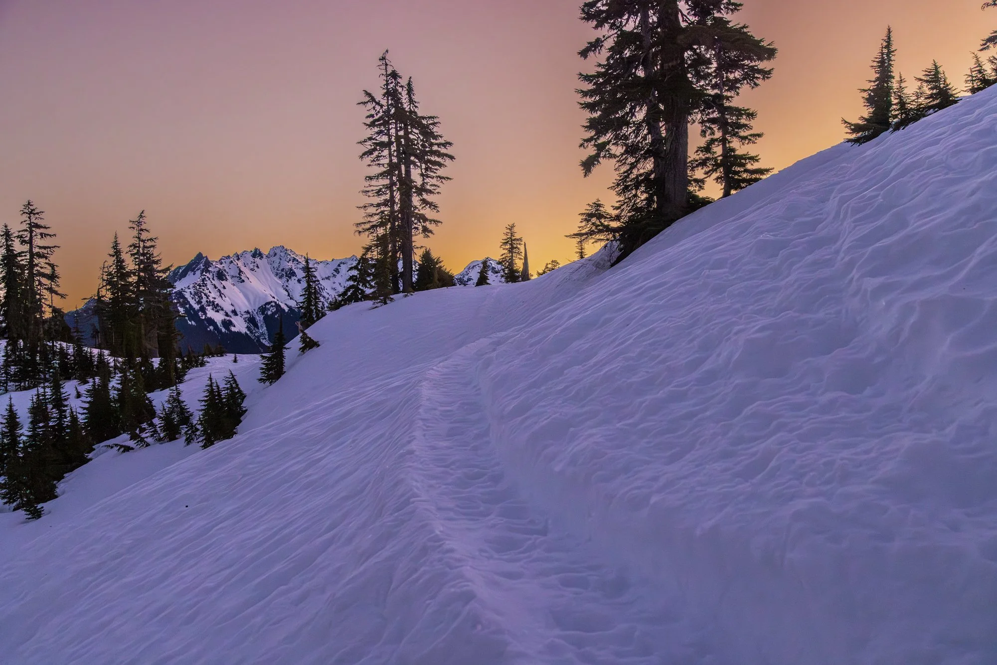 Digital Download: Snowy Sunrise Path