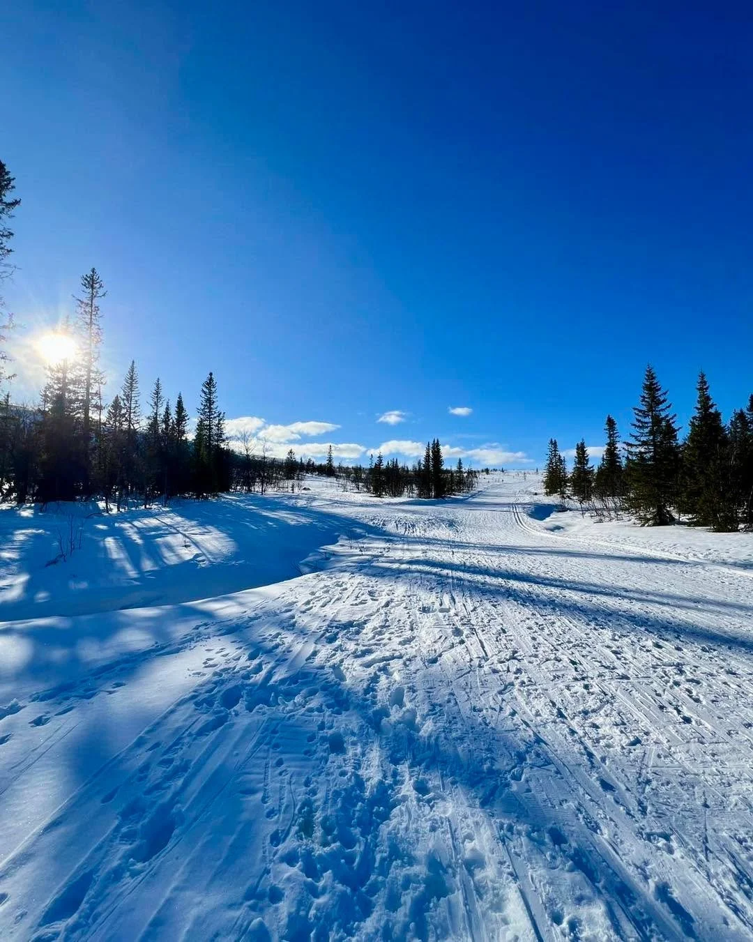 SP&Aring;RSTATUS INF&Ouml;R &Aring;K EN MIL- VINN EN BIL! 🎿🚙

Ni &auml;r m&aring;nga om undrar- hur &auml;r sn&ouml;l&auml;get inf&ouml;r l&aring;ngfredagen? 🤔

Jod&aring;, det ser faktiskt helt str&aring;lande ut! ⚡️❄️☃️ S&aring; in och anm&auml;