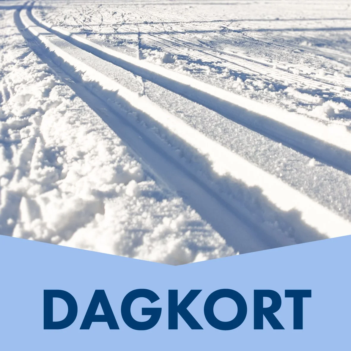 Dagkort_ÅSARNAIK.jpg