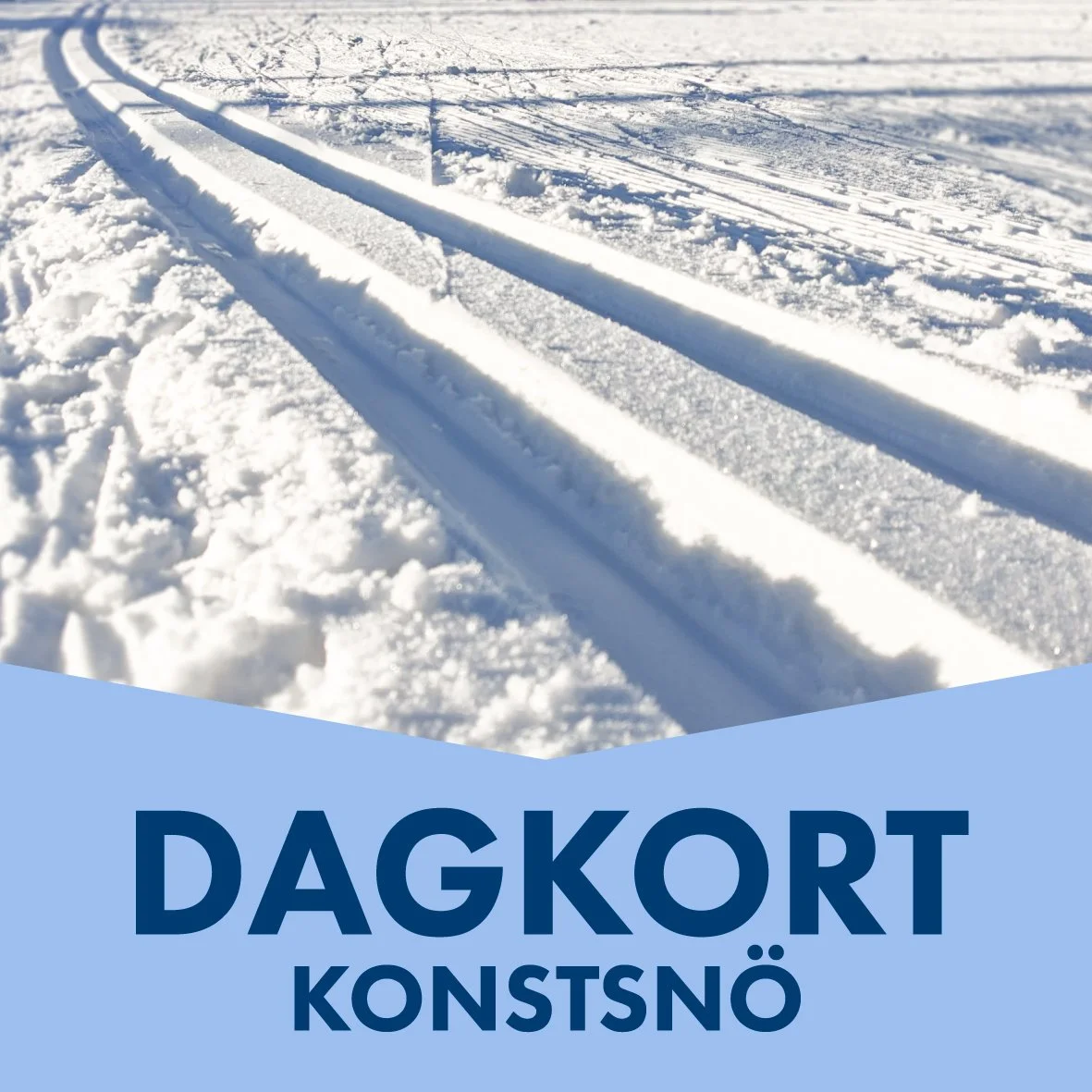 Dagkort_konstsnö_ÅSARNAIK.jpg
