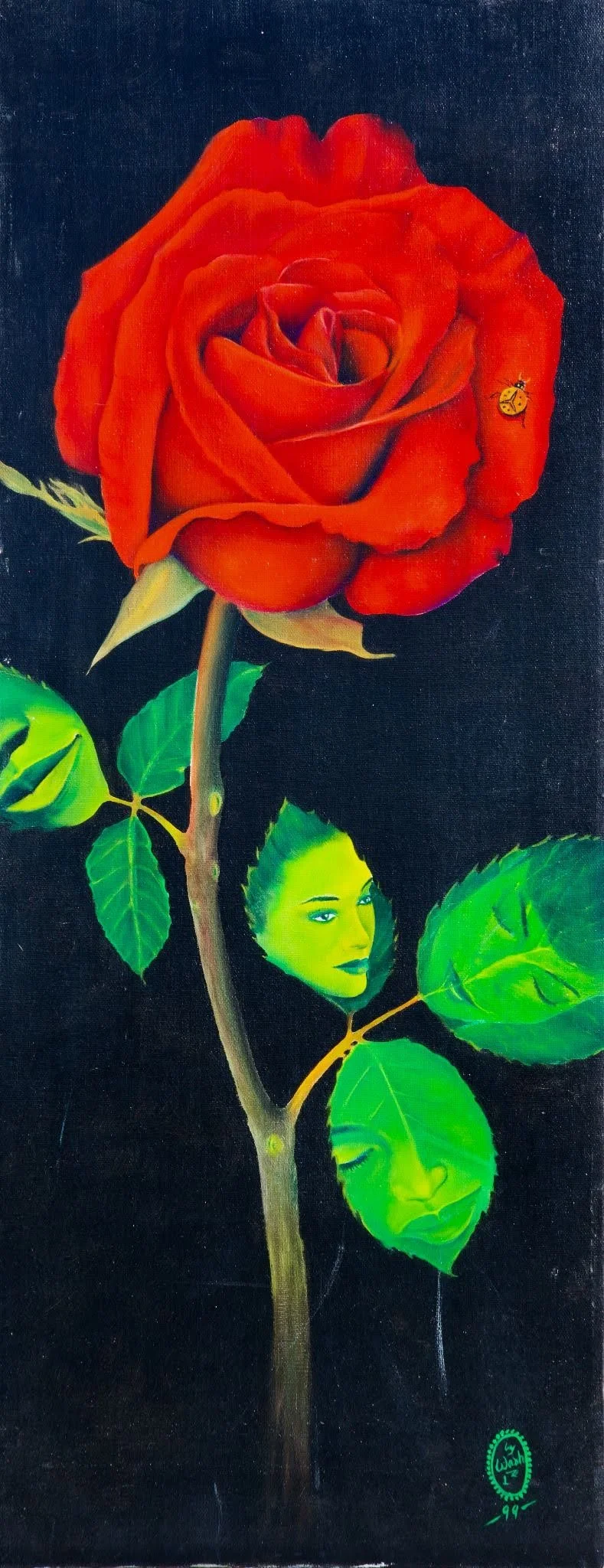 Red Rose, 1999