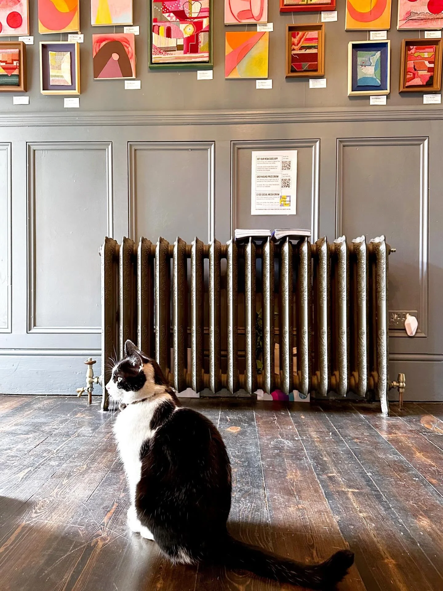 Last chance to meet Stormzy the cat and Frog the tortoise at location 22 tomorrow (5 July). Lots of art as well 😂. Come and see us for the final day of #CAOSArt26 - 19 Hill Road, with @rebeccatuckerpaintings @stathis_dimitriadis @franciskenney.studi