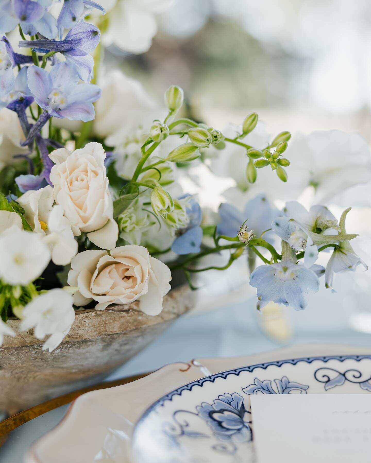 I adore this blend of garden-style blues and whites. The captivating scene as the sunset delicately illuminates the table settings is truly enchanting. 

Planning @hunterorcuttevents 
Photography @halliesosolikphotography