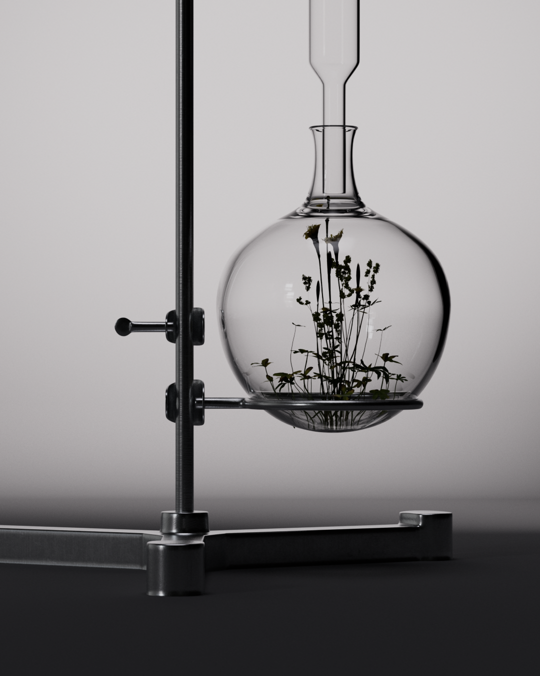 design_LELABO_v008.png