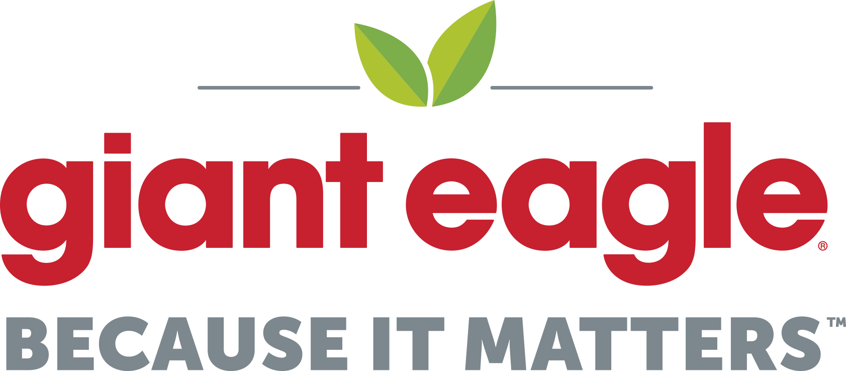 Giant Eagle logo