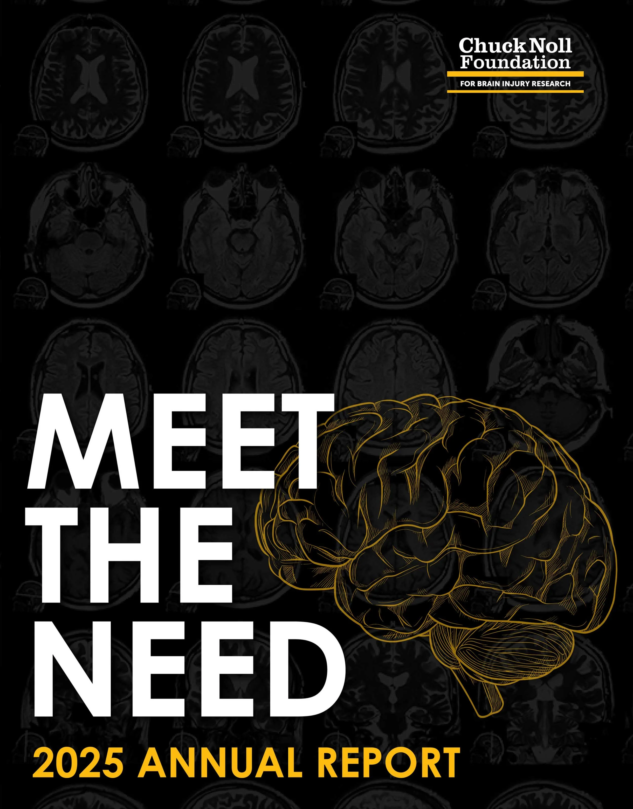 Chuck Noll Foundation 2025 Annual Report cover.