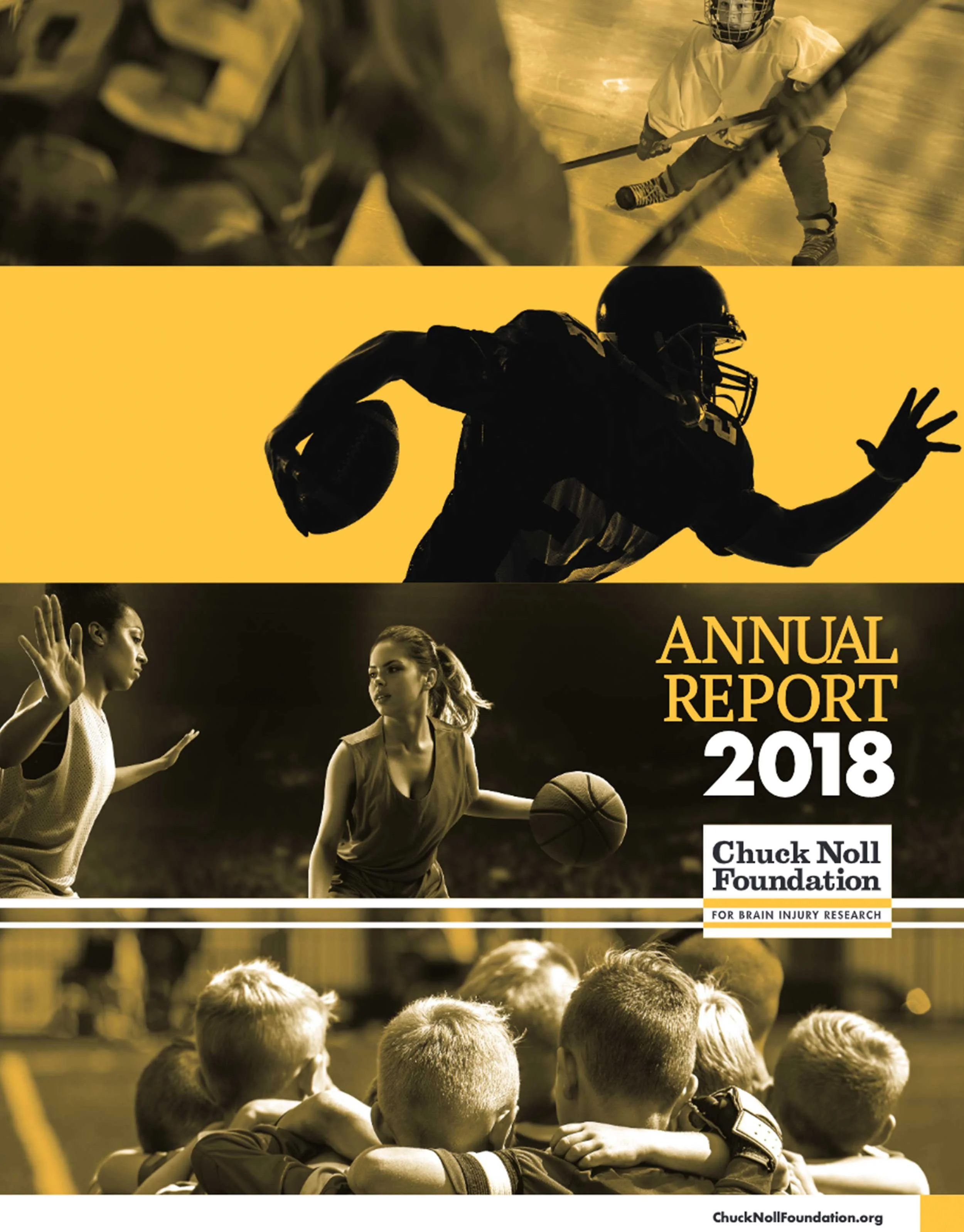 Chuck Noll Foundation 2018 Annual Report cover.