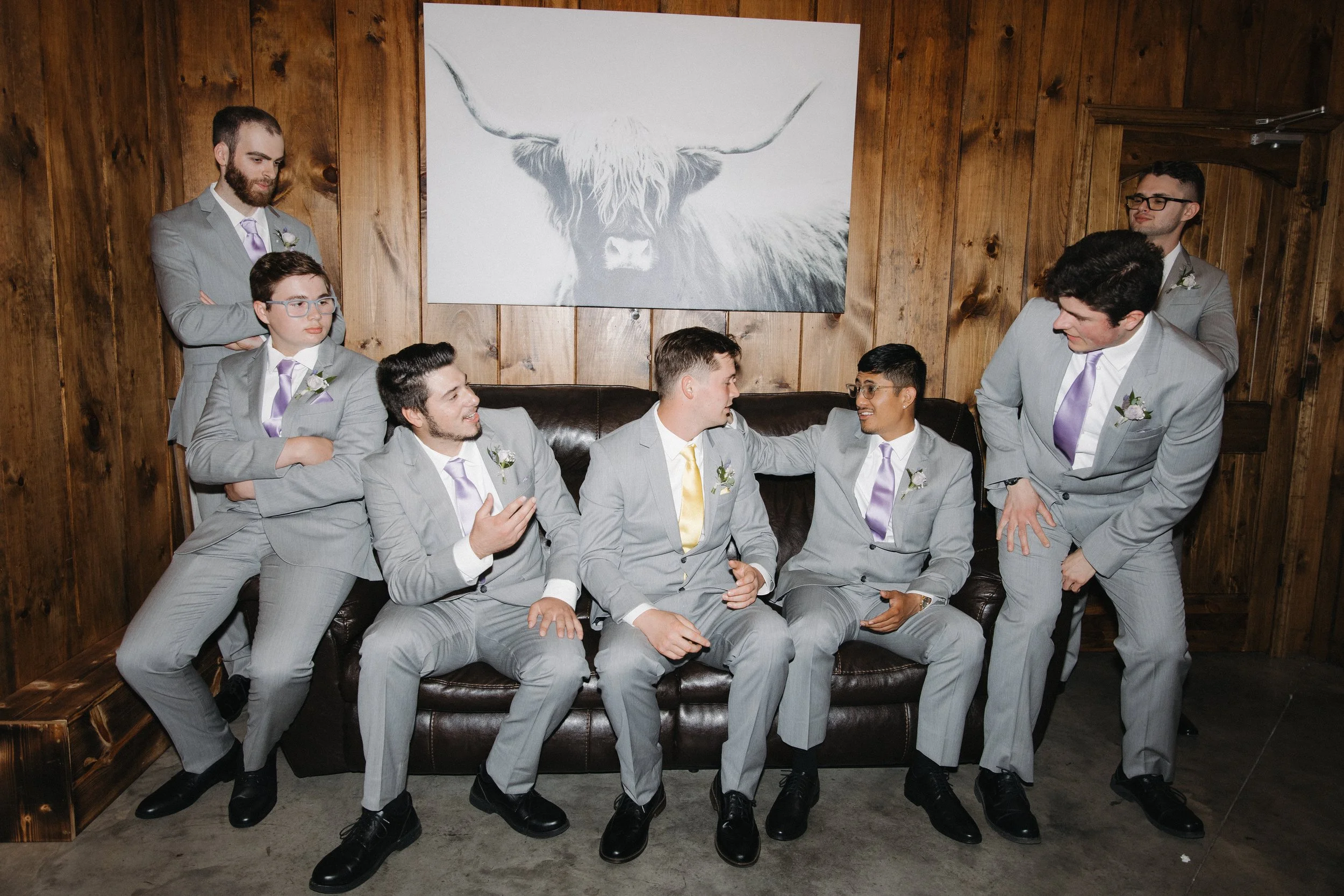 Group of seven men in gray suits and lavender ties sitting on and standing around a dark leather sofa in a room with wooden walls. There is a large black and white painting of a highland cow on the wall behind them.