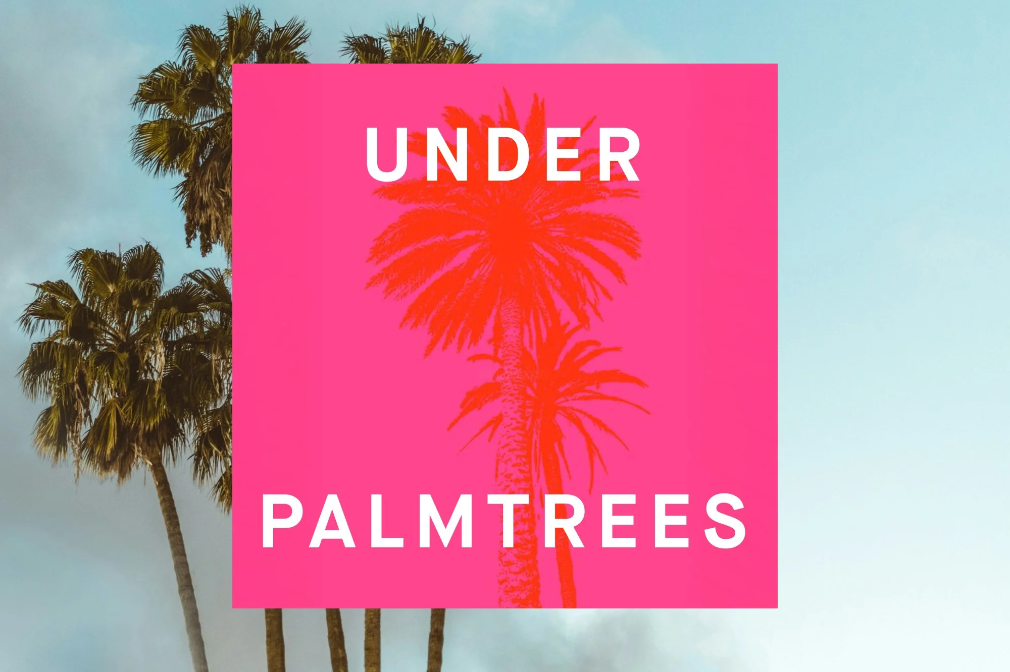 PLAYED - Palm Trees