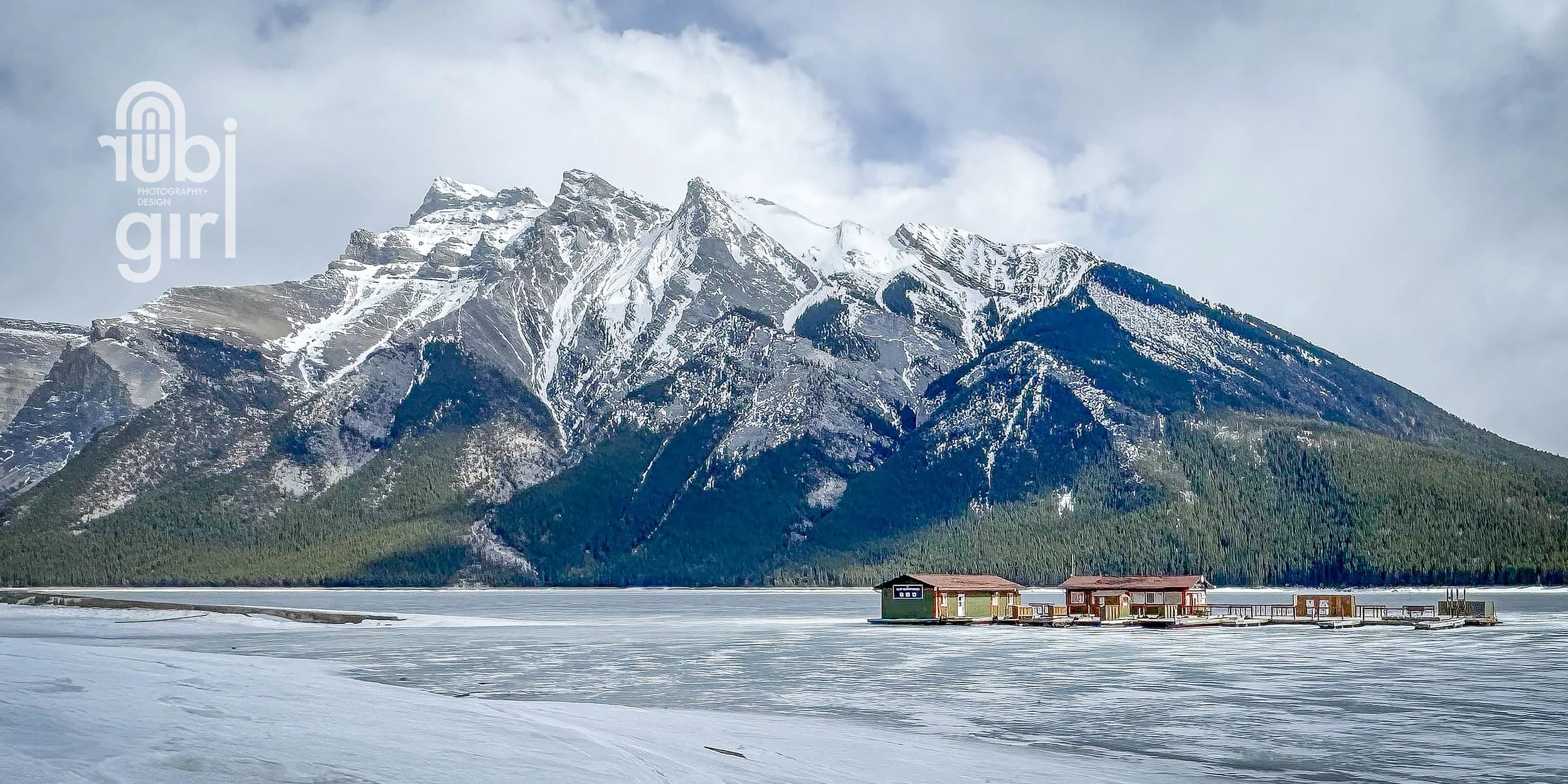 frozendock24x12.jpg