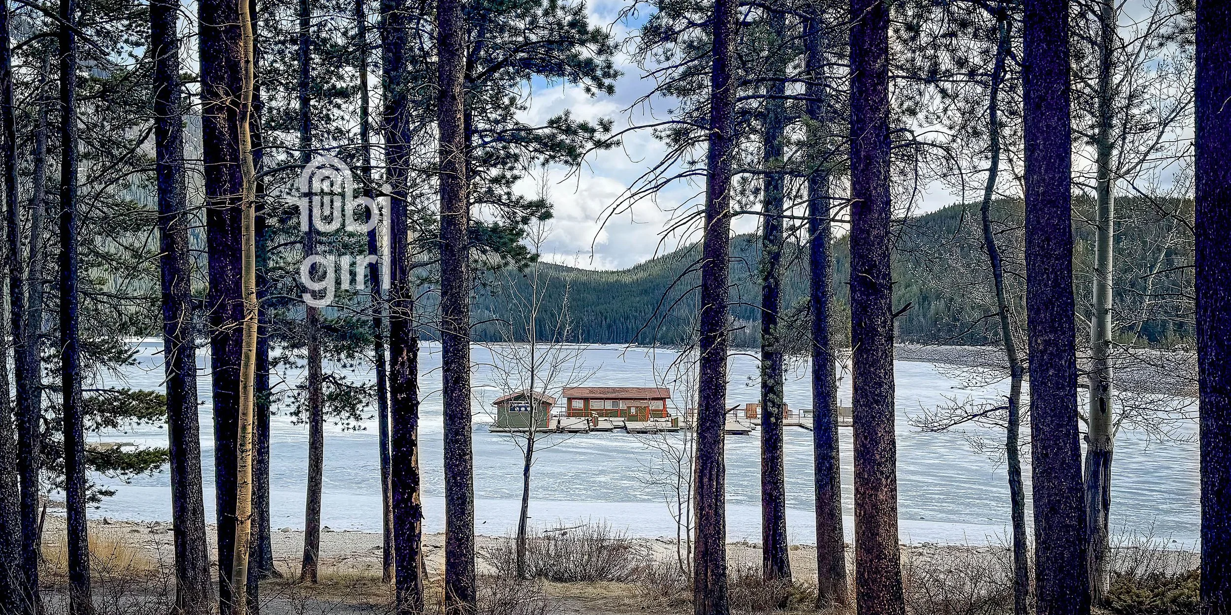 frozendock2_24x12.jpg