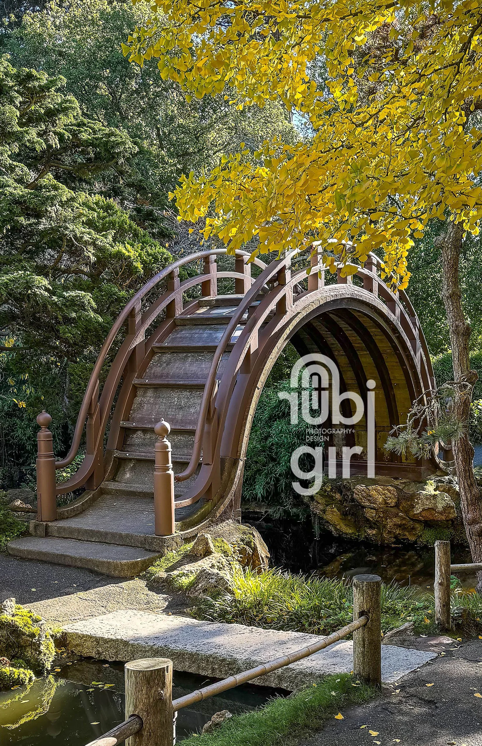 Japanese Bridge