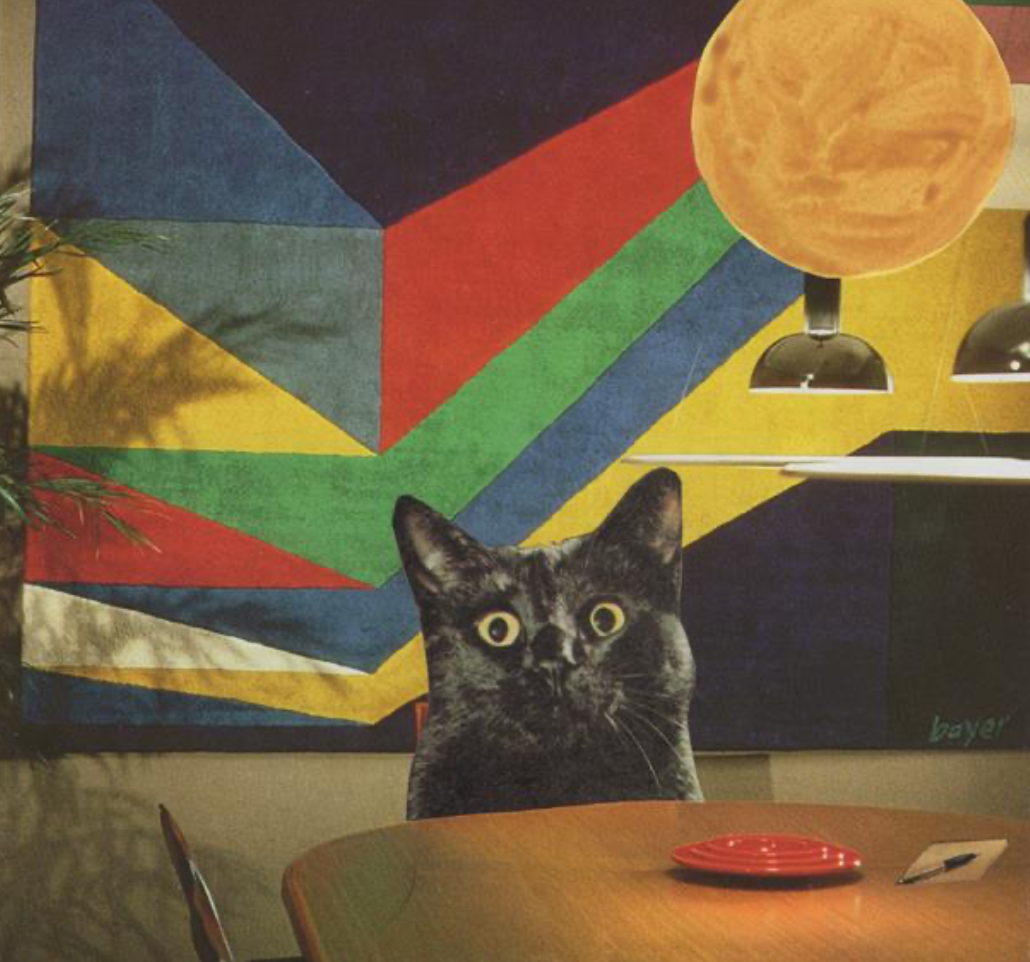 Kitchen Kitty by Ash Hudson
