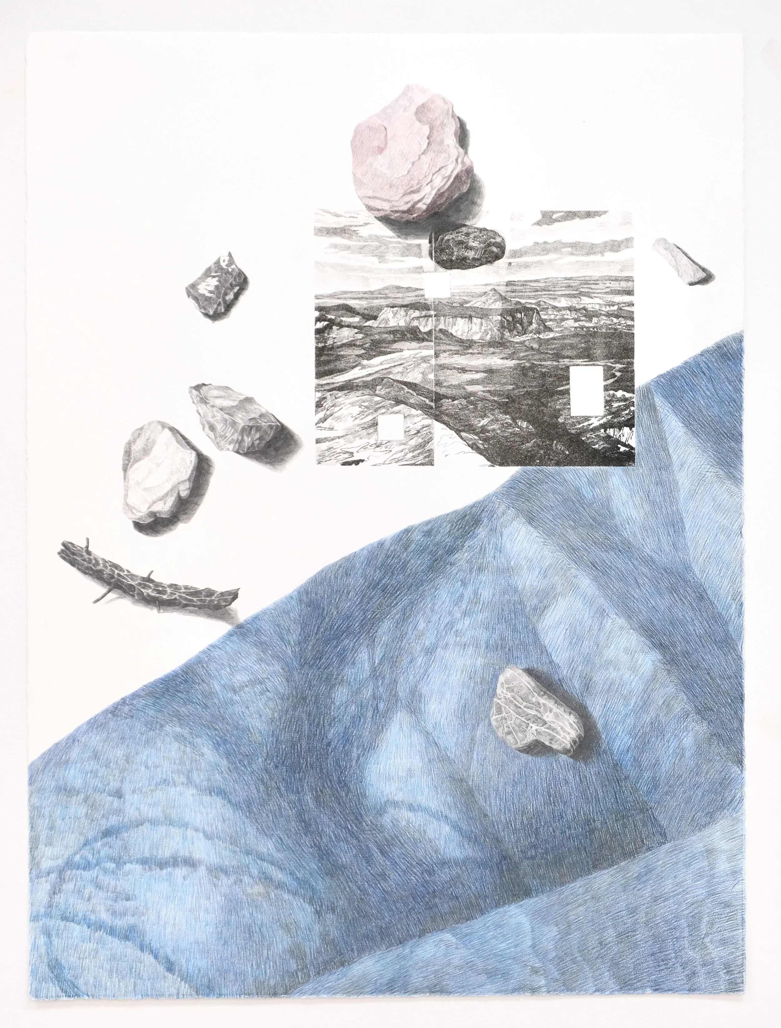 i dreamed i saw a stone fly over no man’s land (mesa): mancos shale by Ron Linn