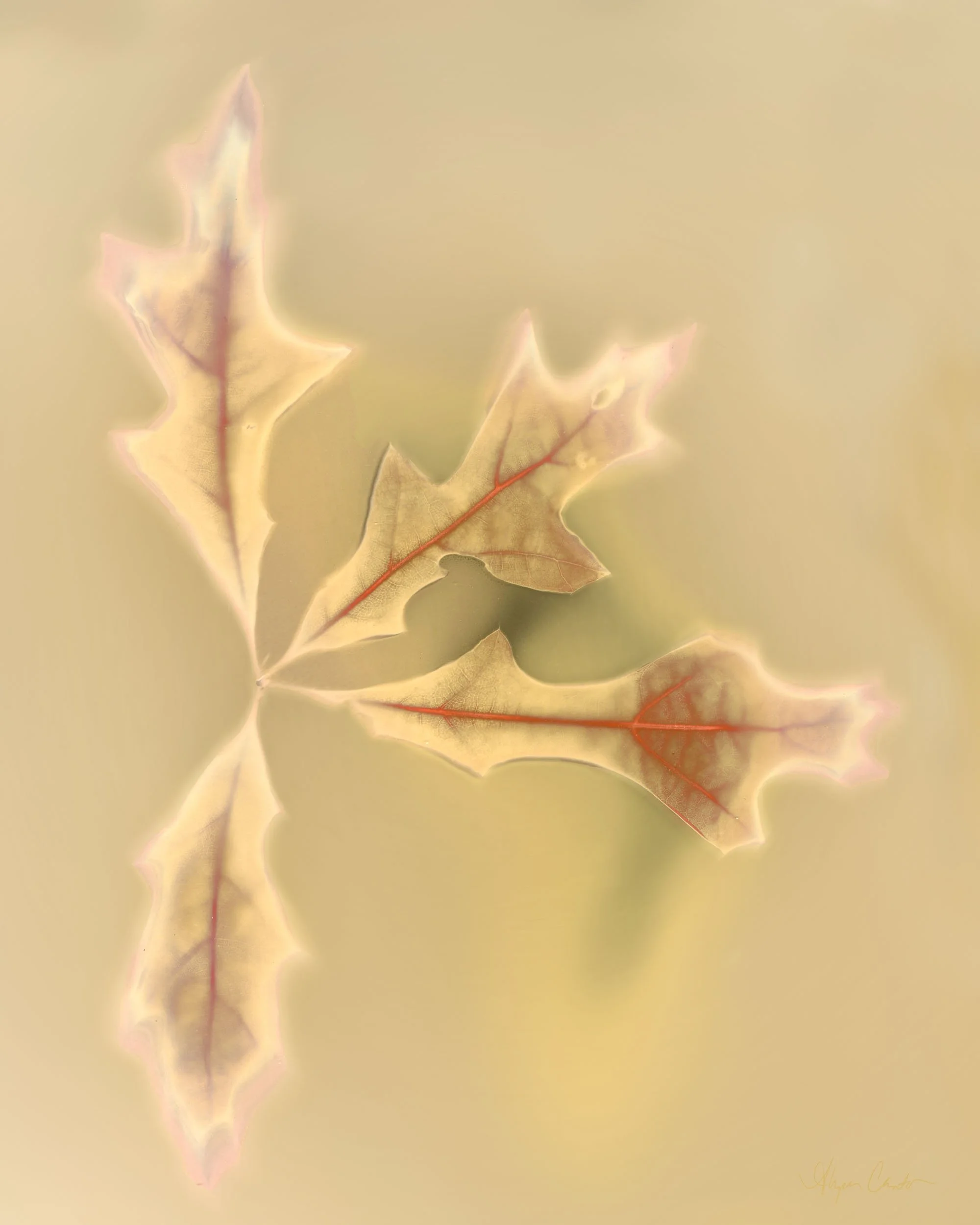 33-edited.jpg