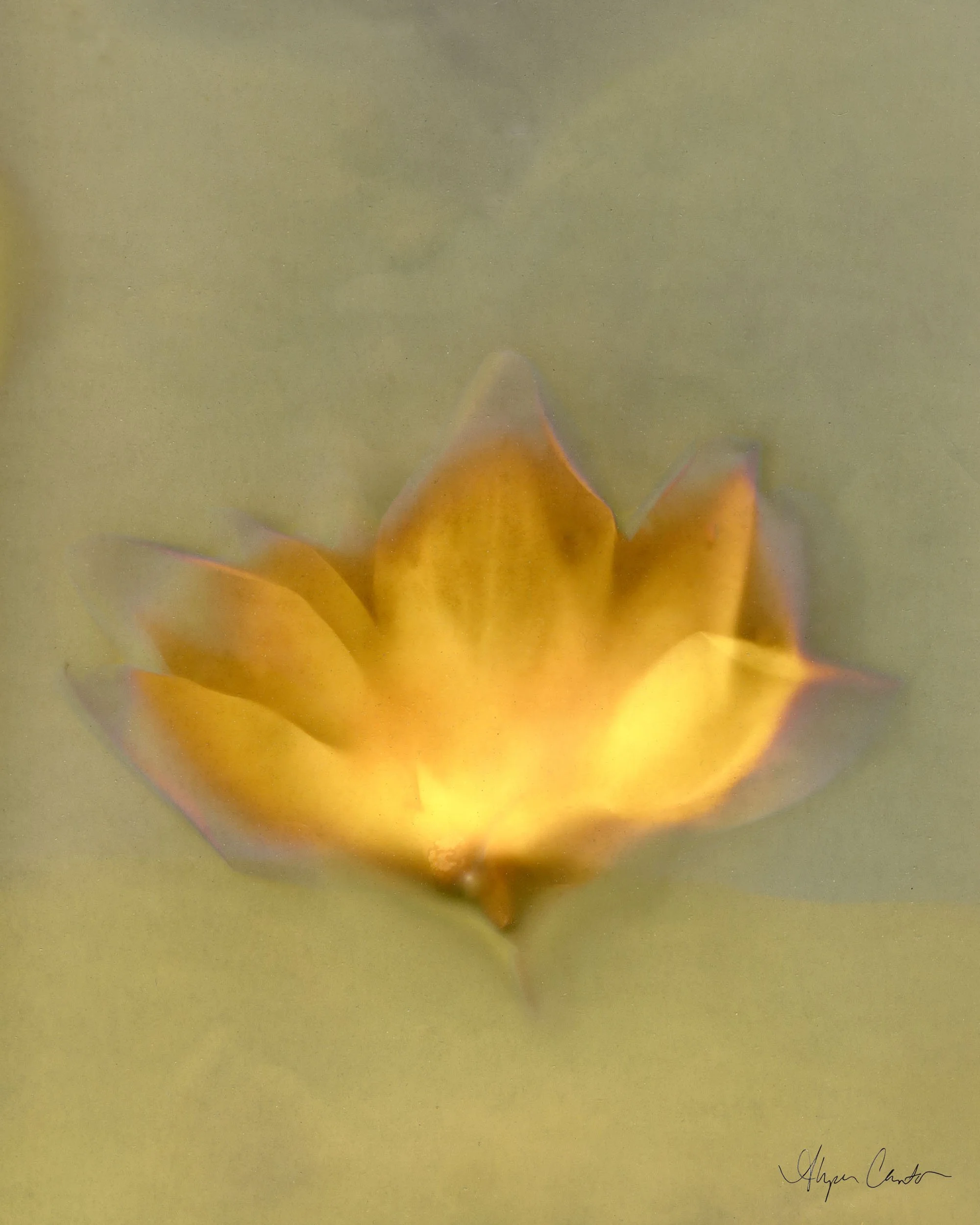 37-edited.jpg