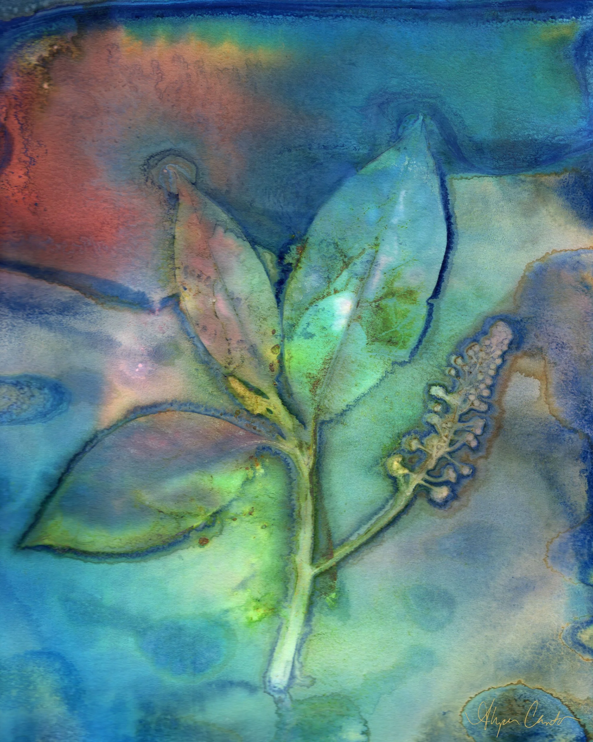 Pokeweed Alchemy