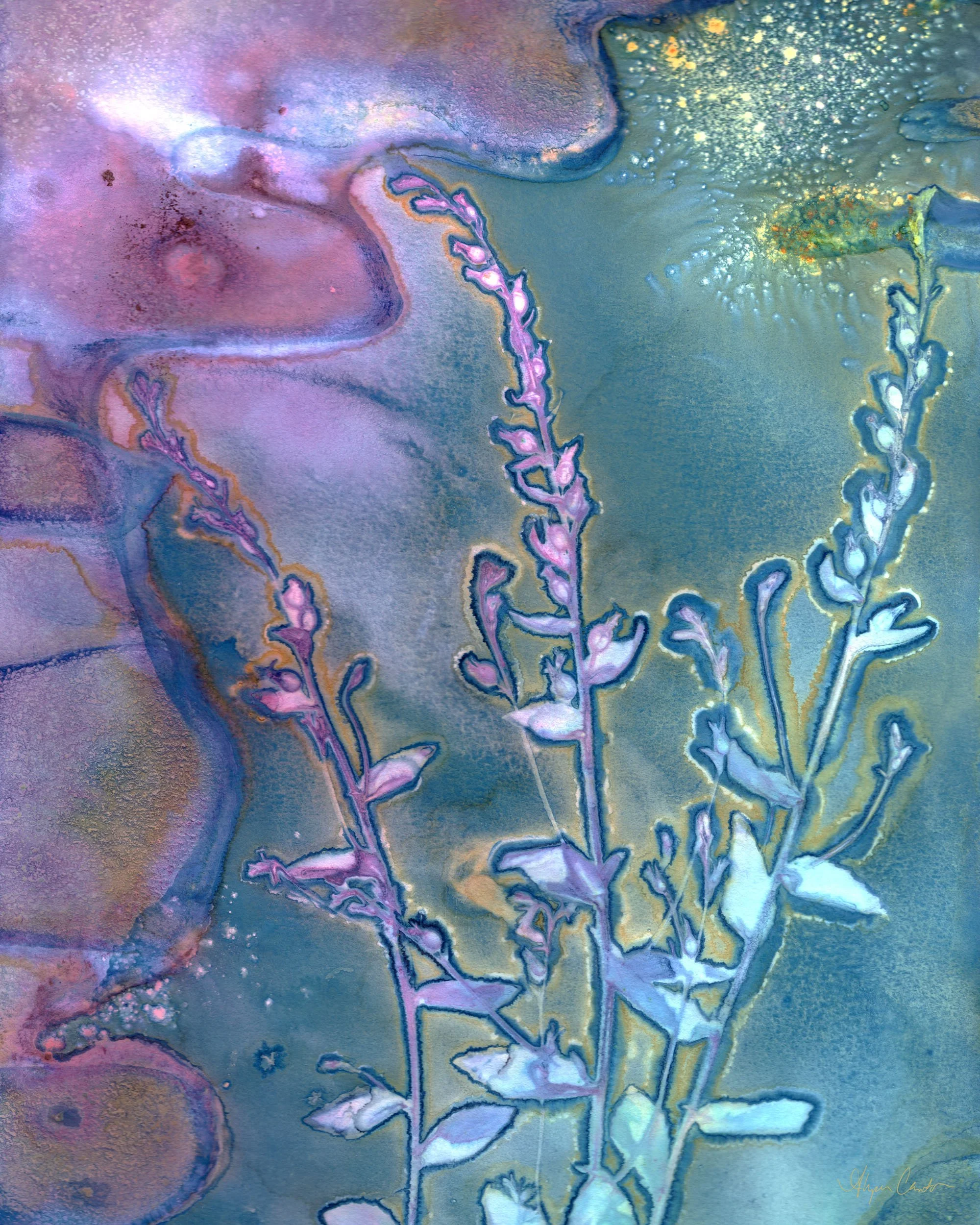 Meadow Breezes