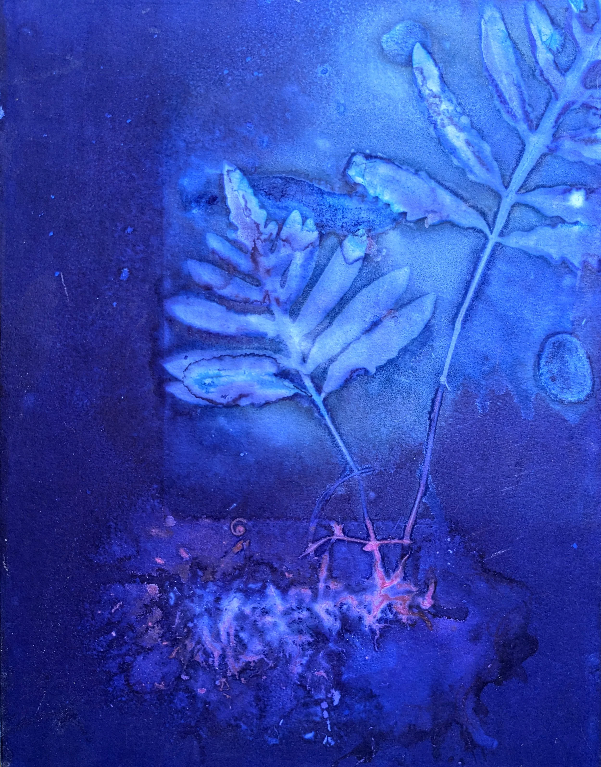 11x14 (2).jpg