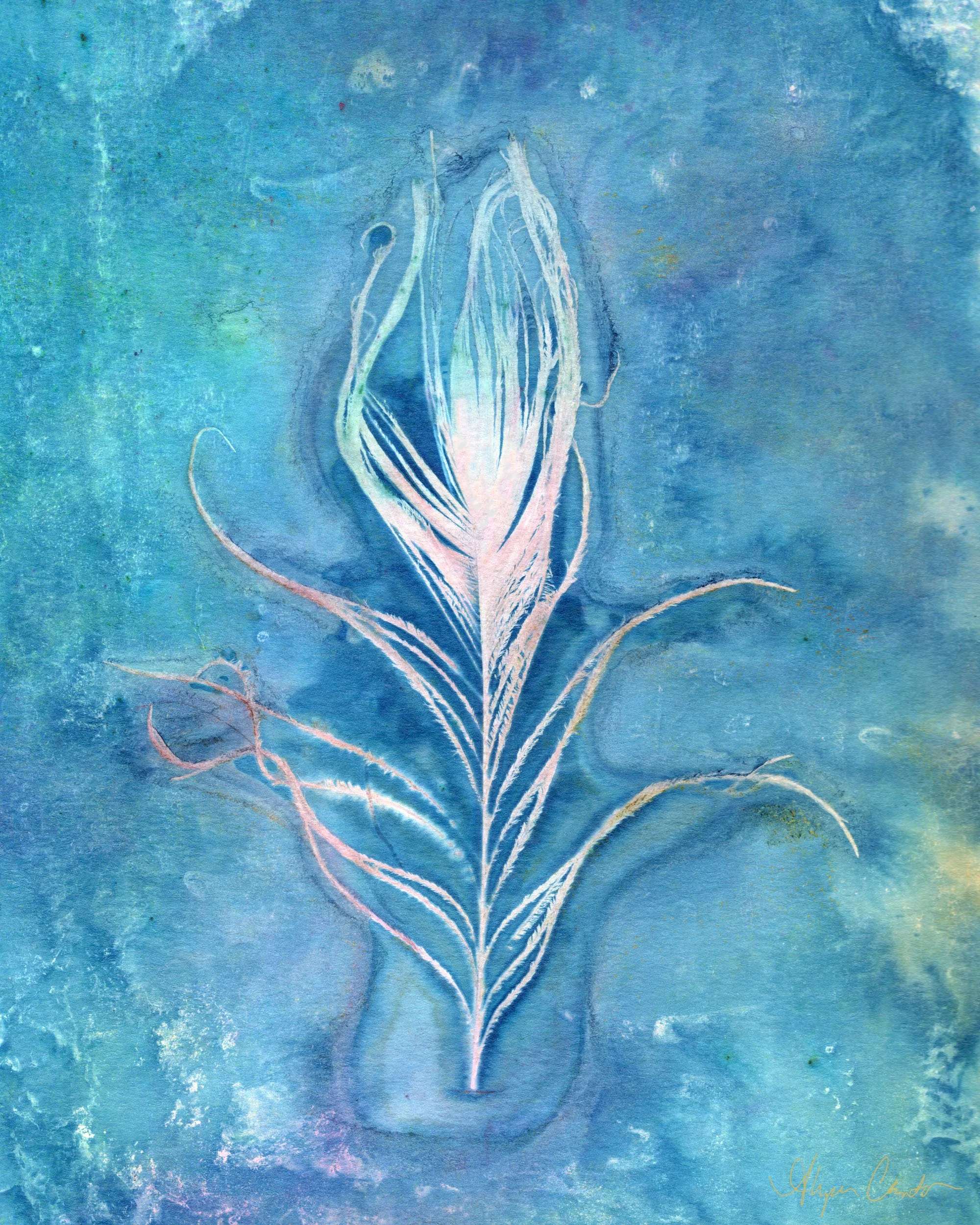 Feather Reverie