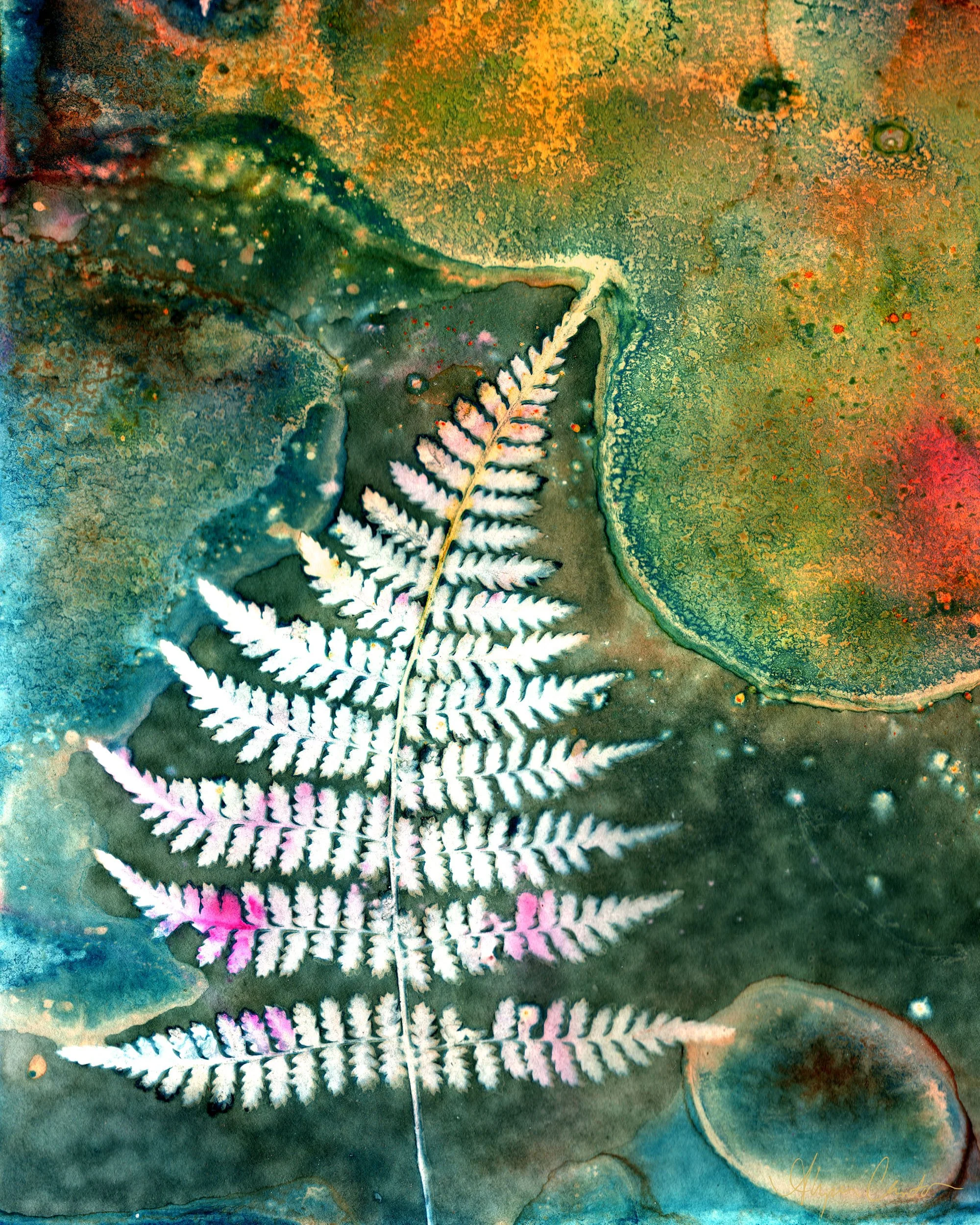 Fractal Fern