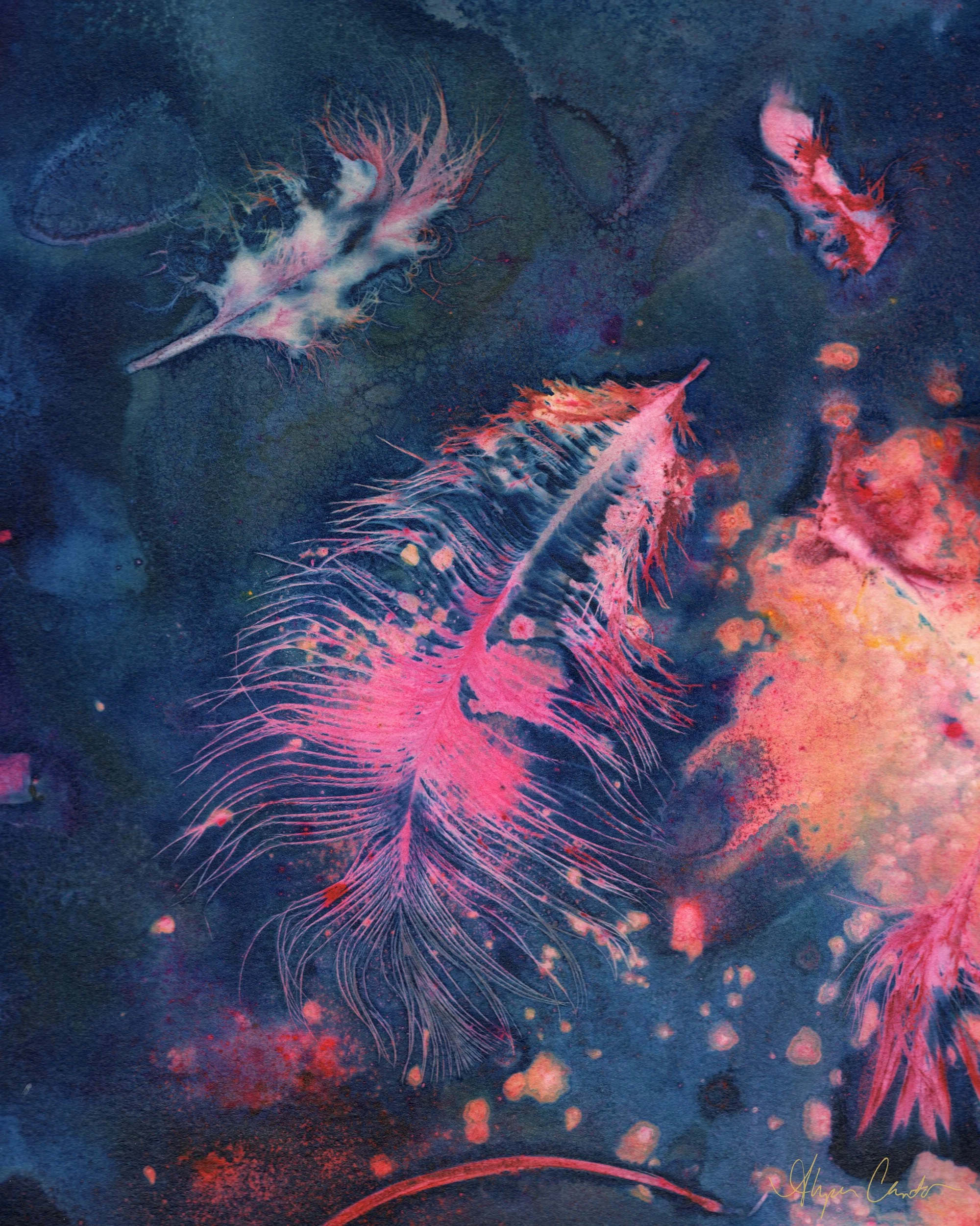 Feather Nebula