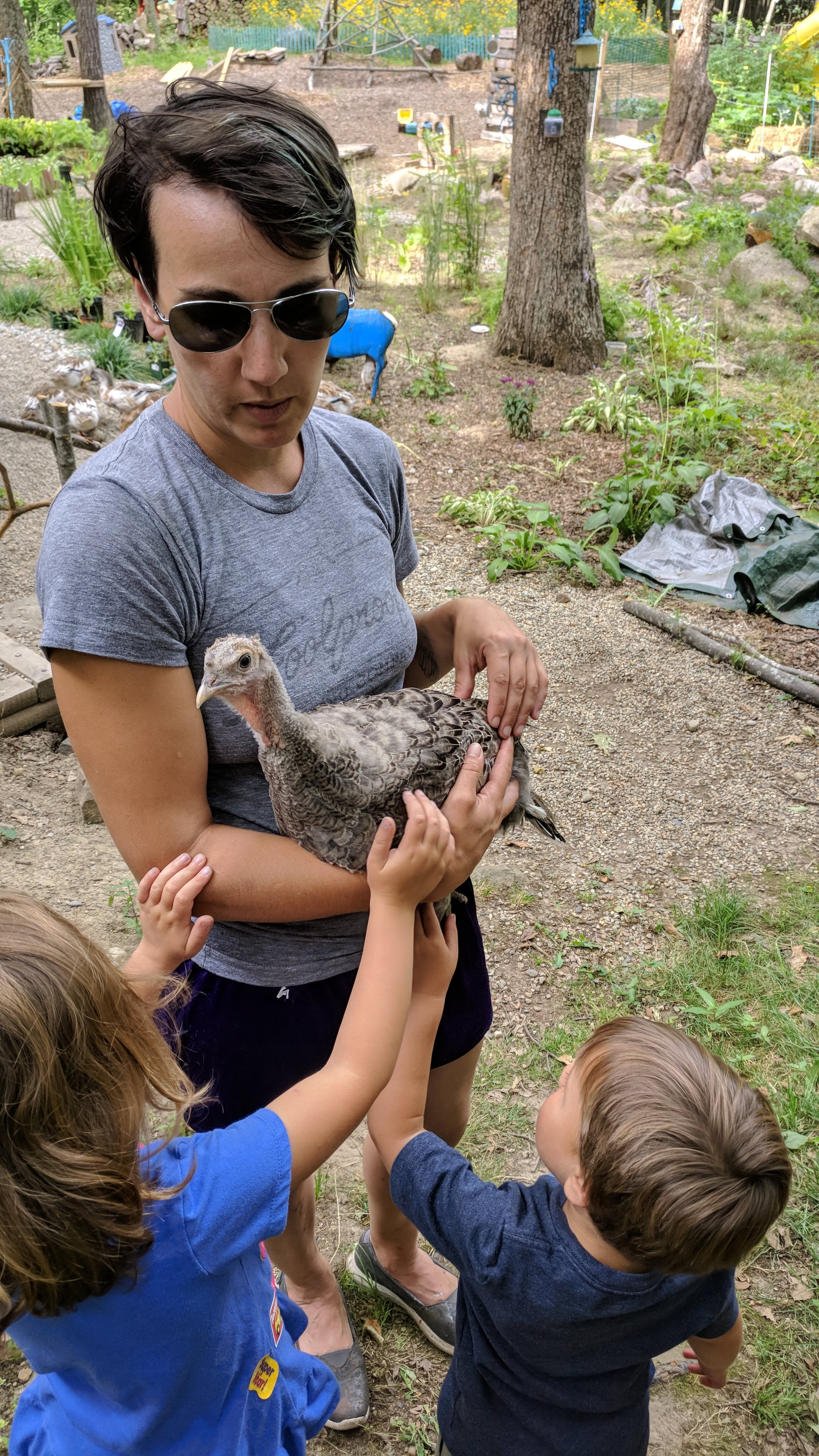 IMG_20180713_170143.jpg
