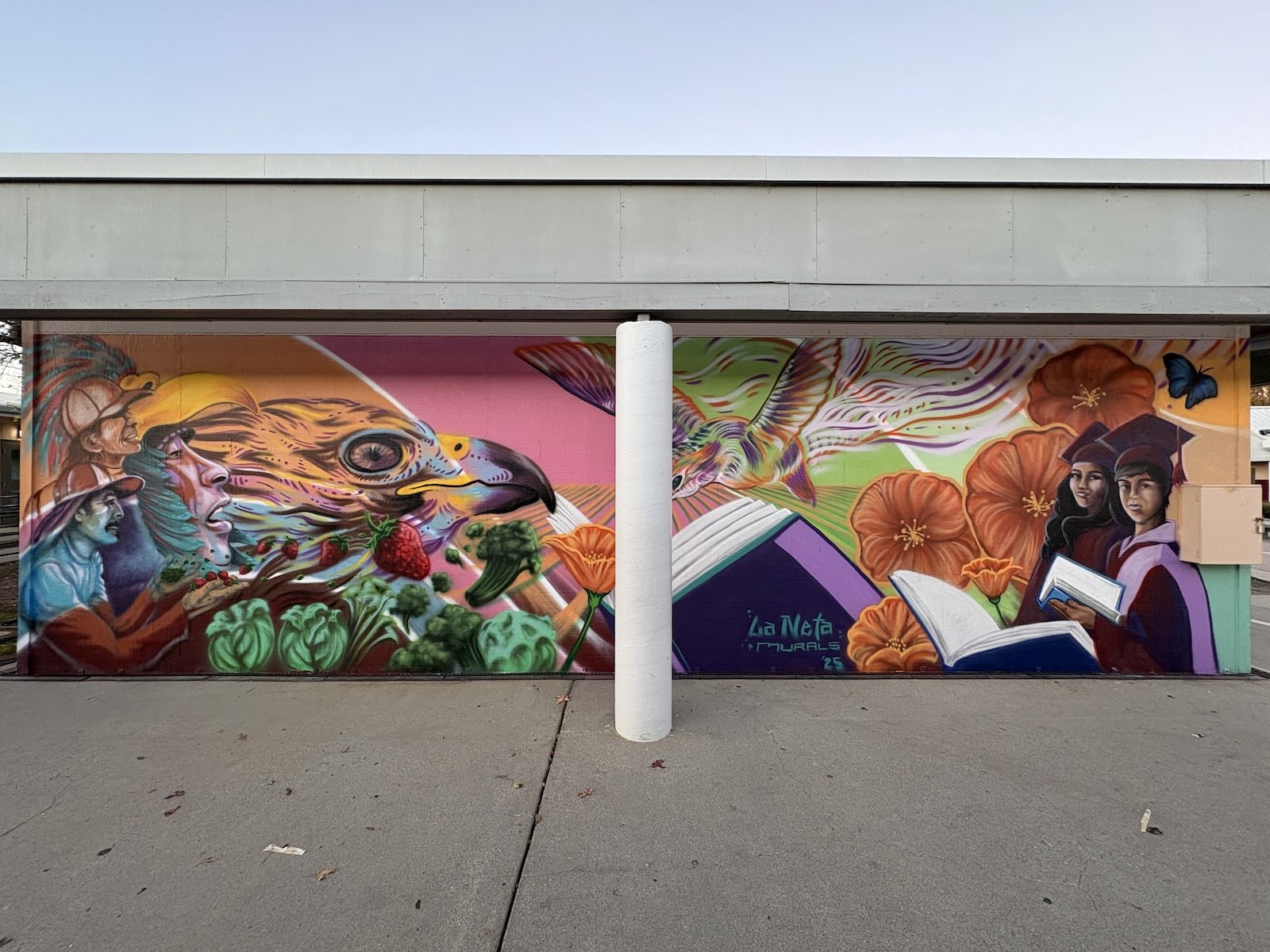 Gavilan view middle school.jpg