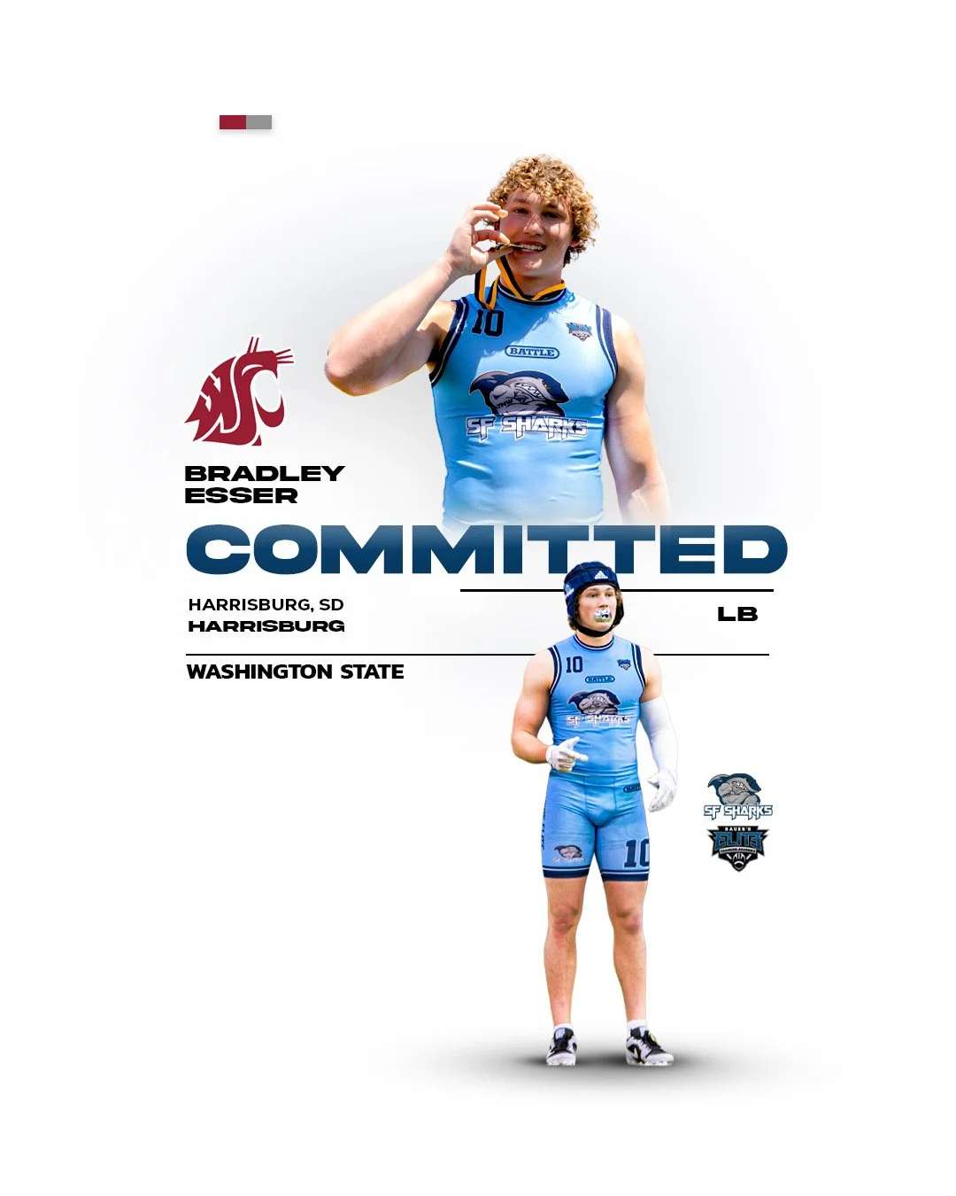 Sharks Committed Esser.JPEG