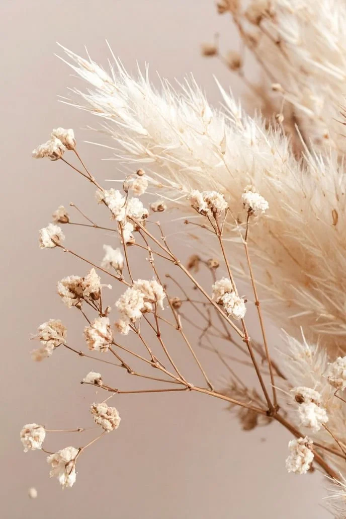 dried bouquet with a beige background