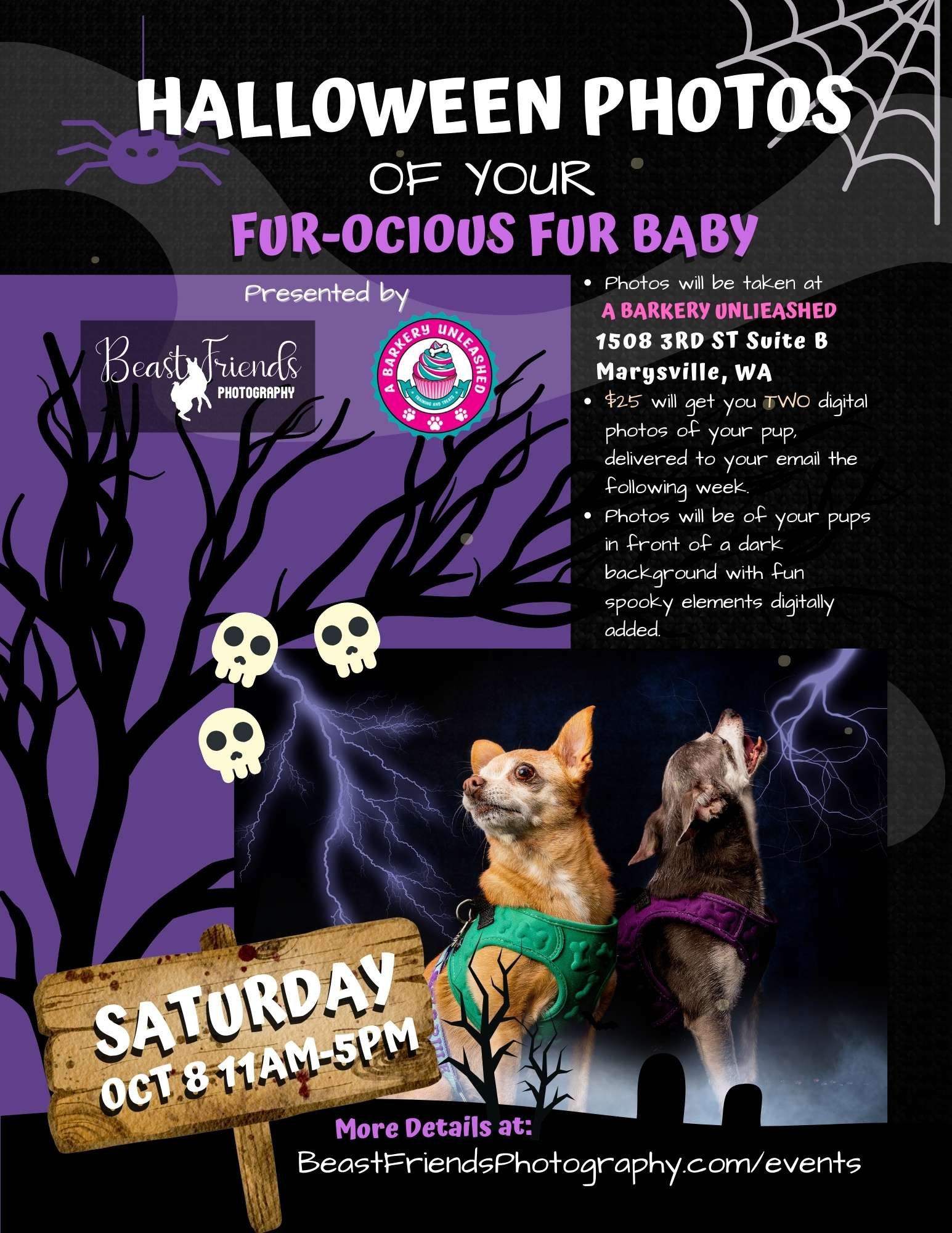 Halloween Photos at A Barkery Unleashed
