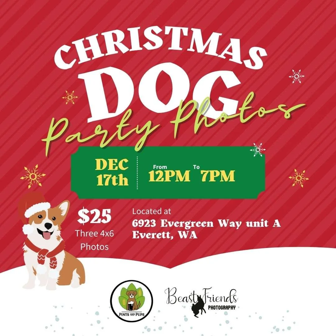 Christmas with K9s Dog Party Photos