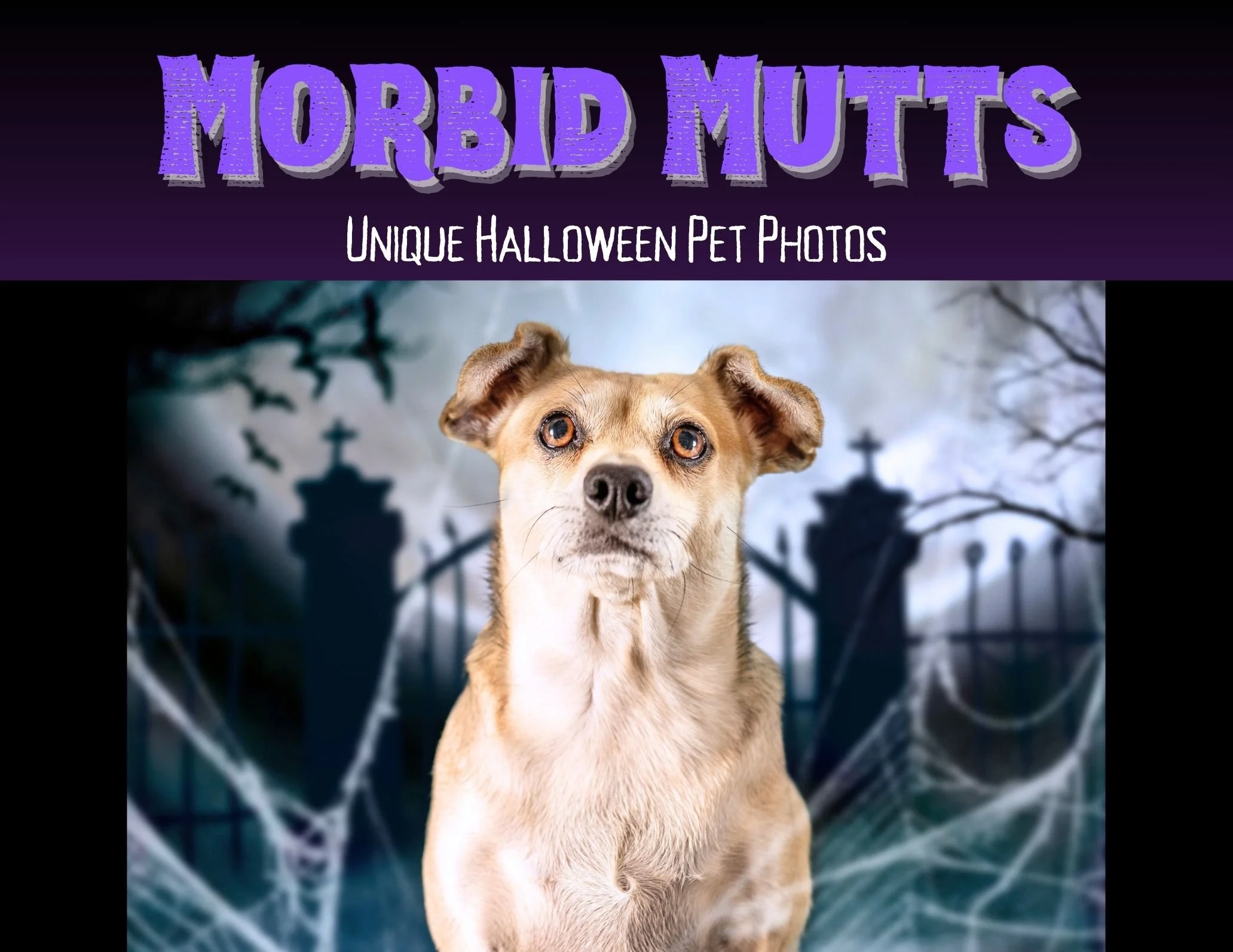 Morbid Mutts Halloween Photos