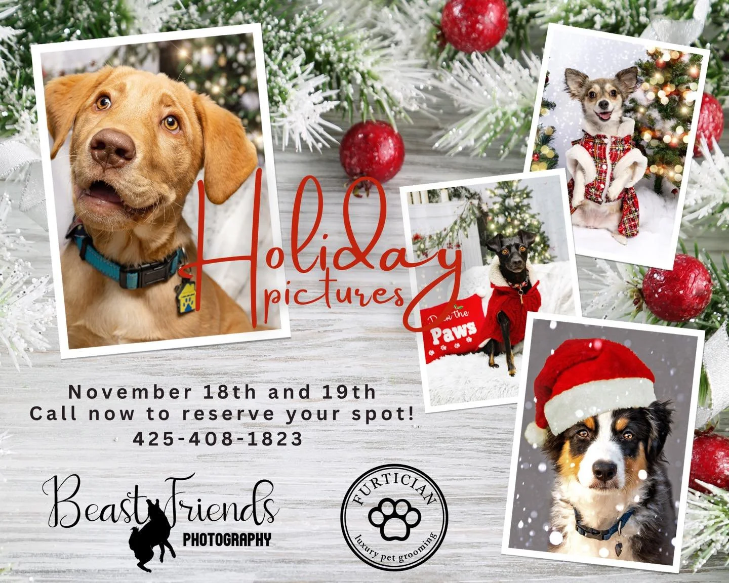 Holiday Pictures at Furtician in Bothell