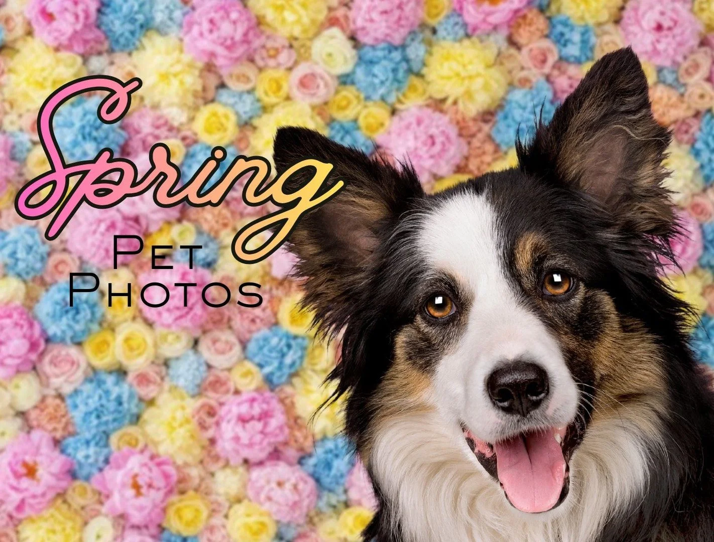 Spring Pet Photos at A Barkery Unleashed
