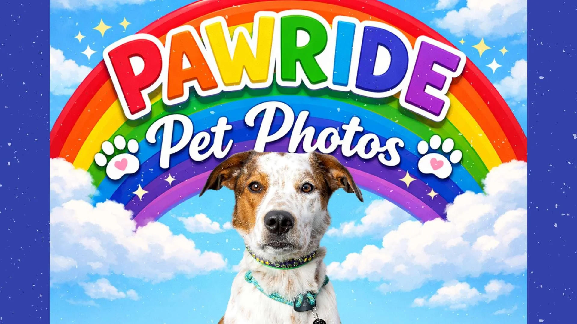 Pawride Pet Photos at Paddywack