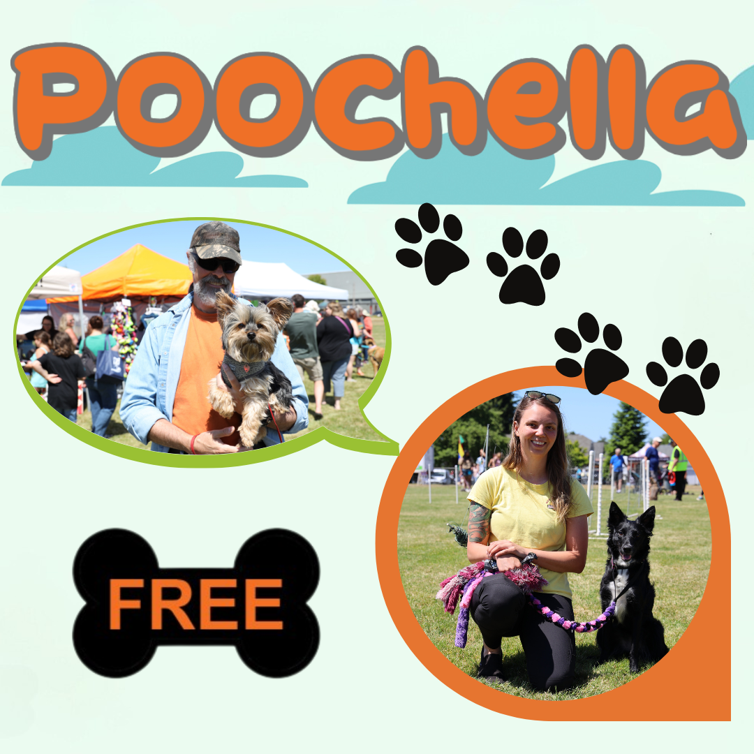 Poochella in the Park
