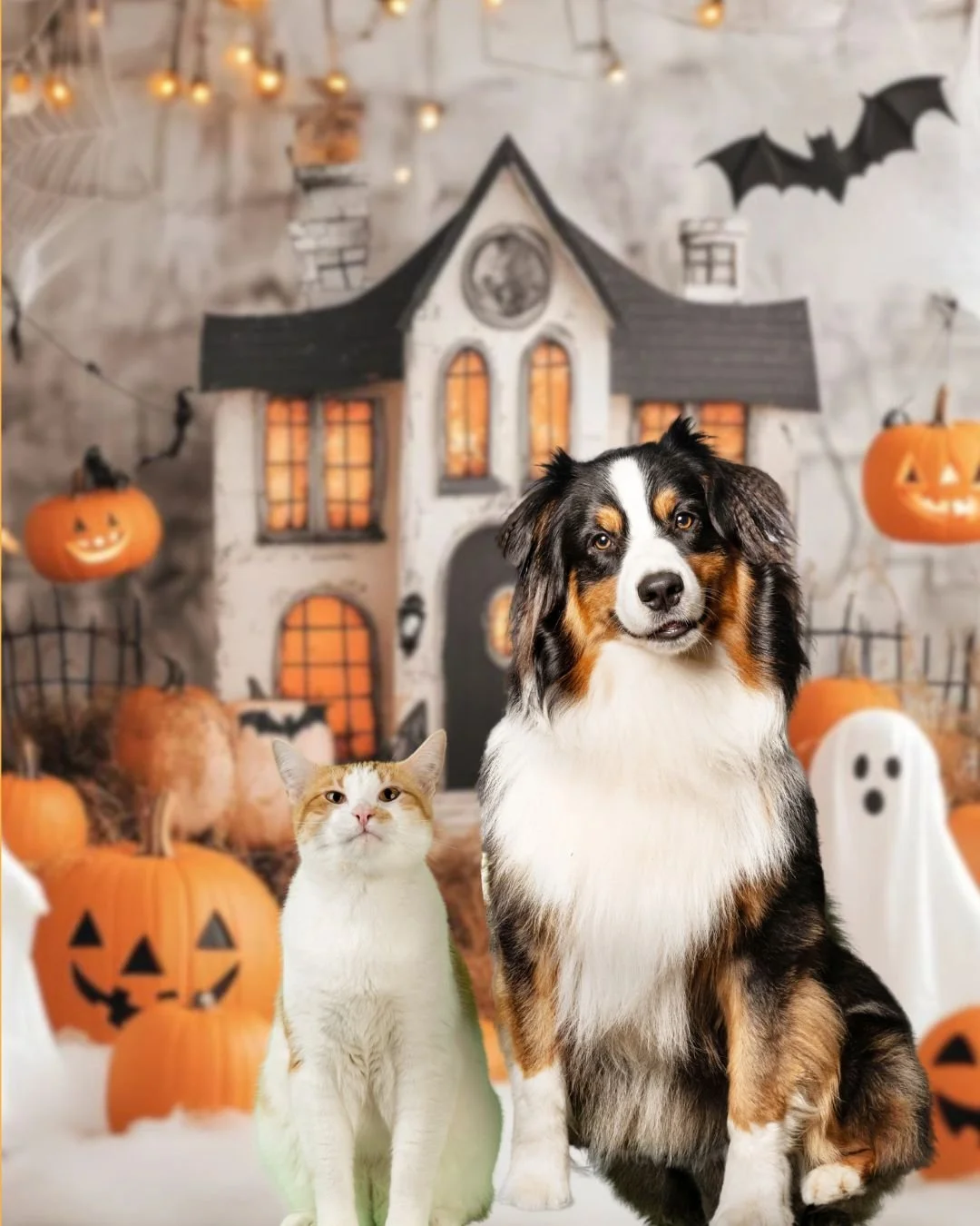 Halloween Pet Photos at A Barkery Unleashed