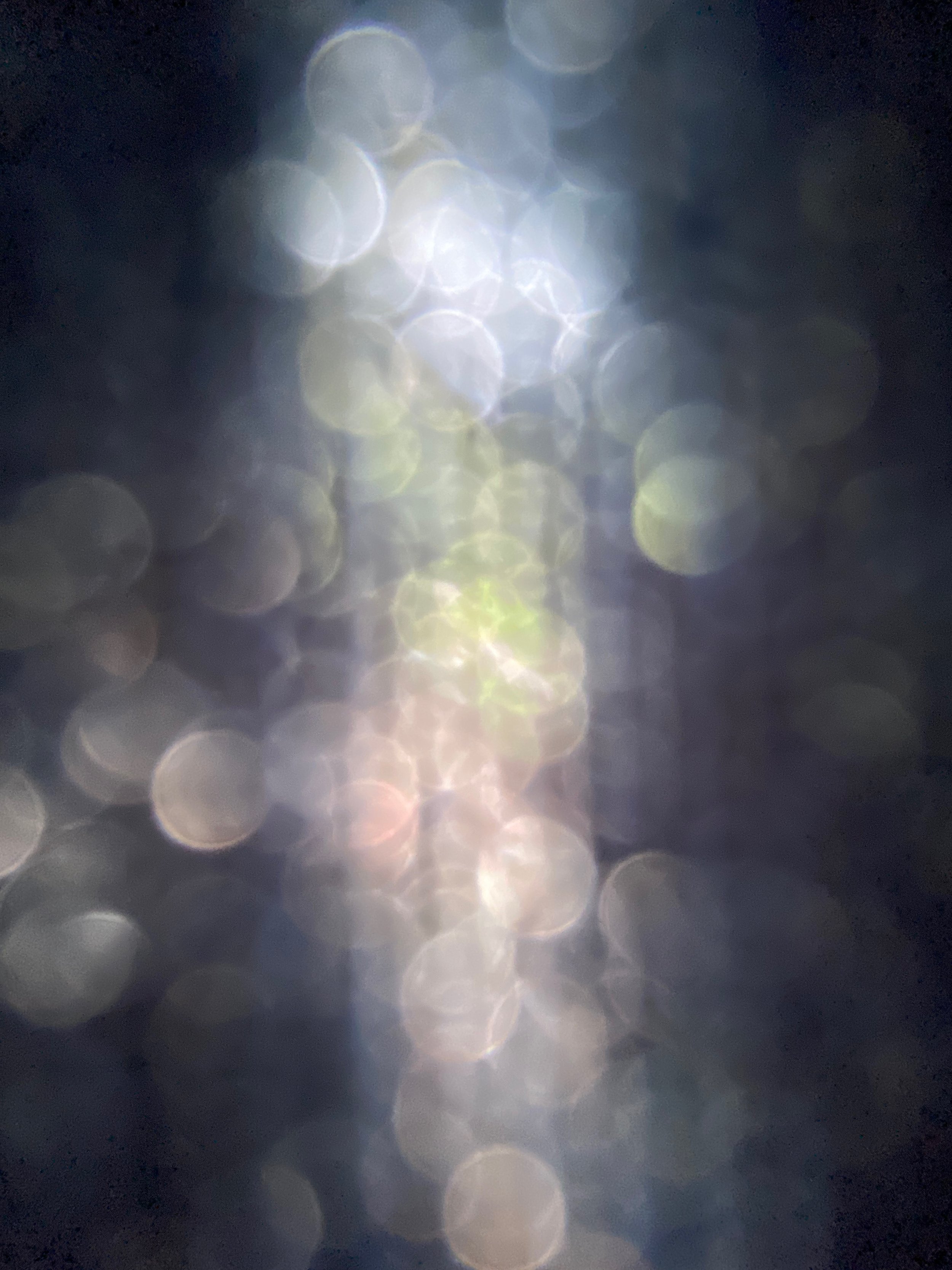 IMG_4370.jpeg