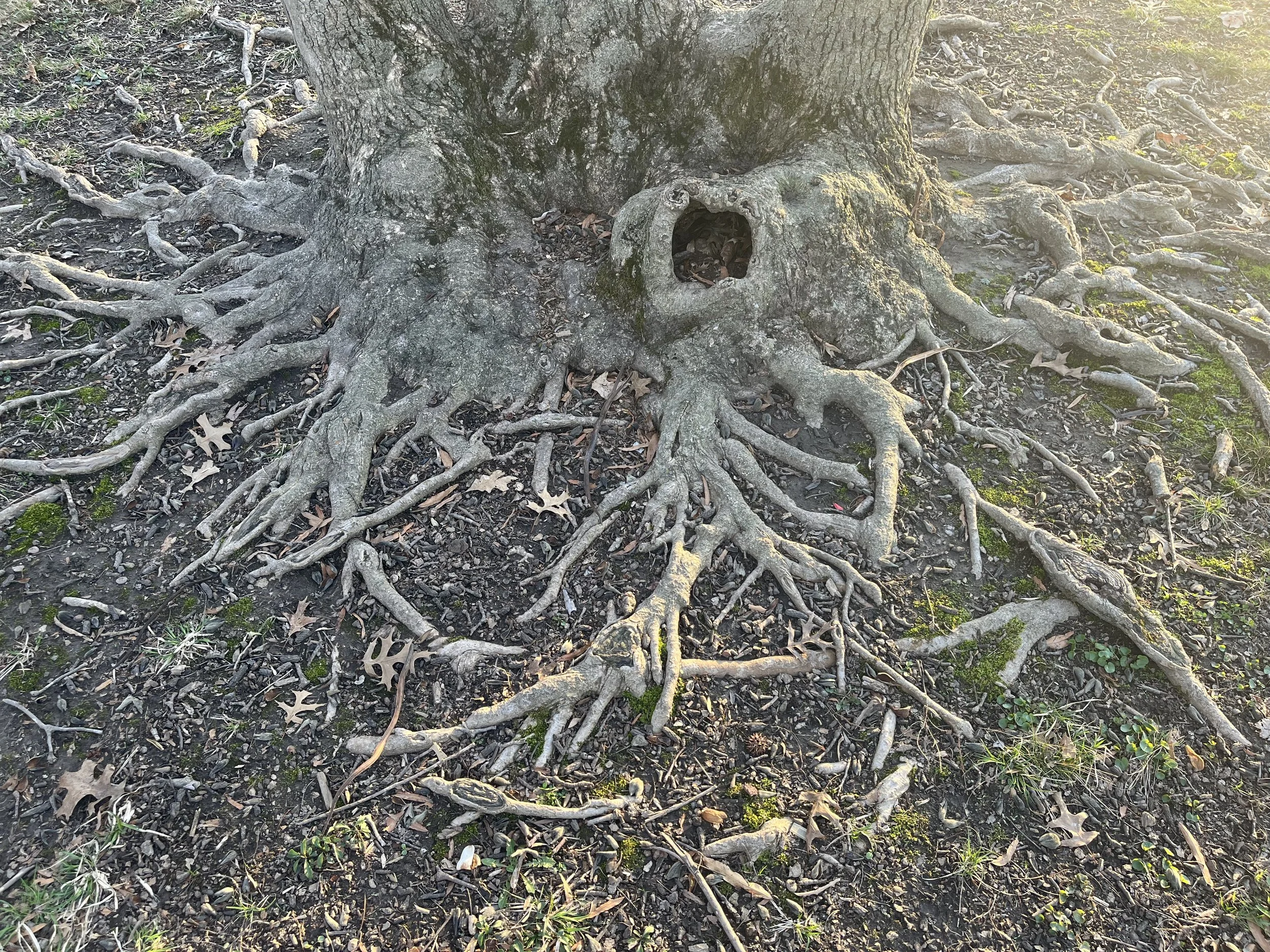 A Reflection on Spring and Holding Contradictions