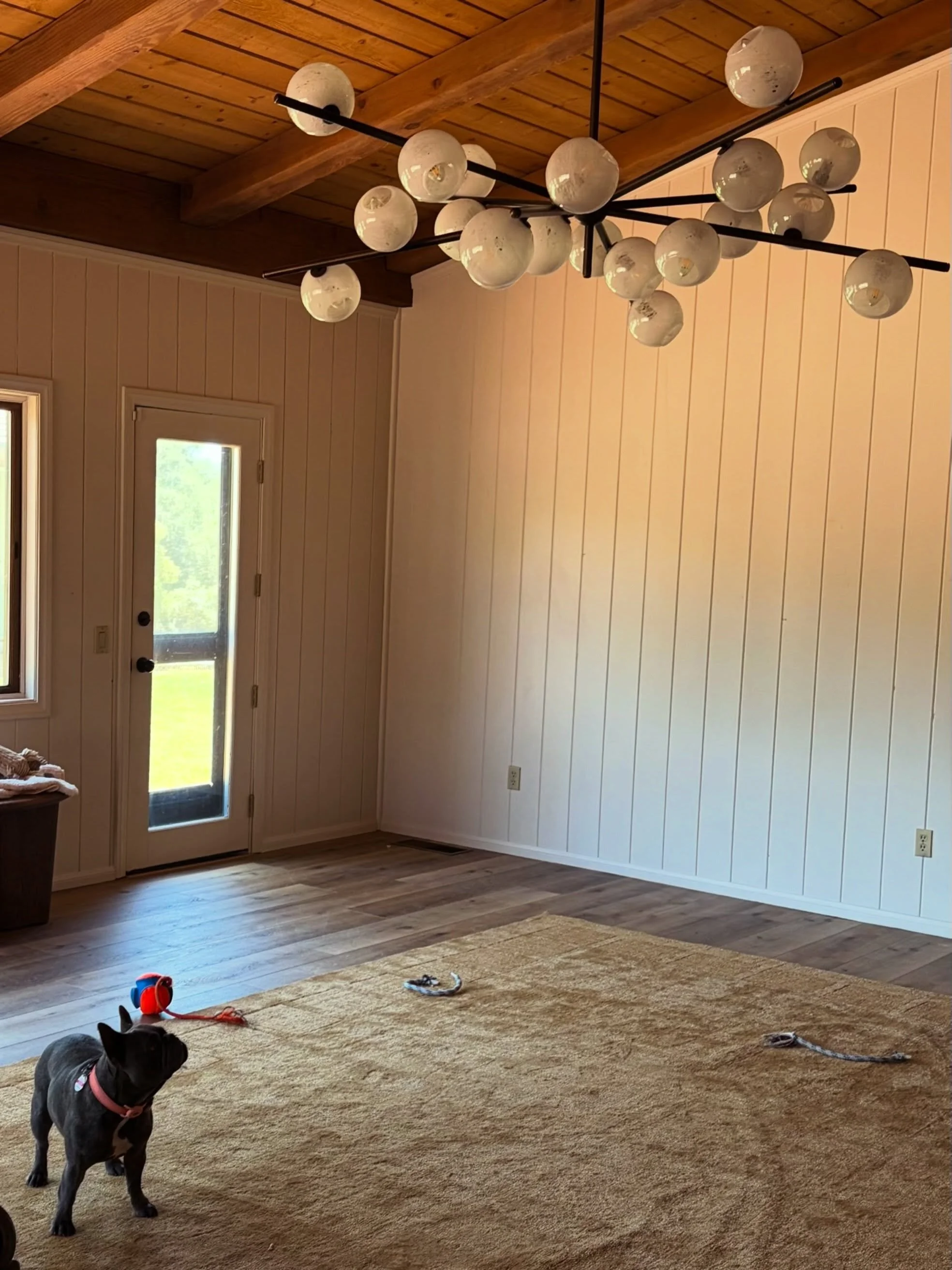 When the client's pup gives the chandelier its seal of approval, you know the project is heading in the right direction. 🐾✨

"Happy dog, happy home."

#abndzstudio #interiors #interiordesign #frenchie #californiaranch